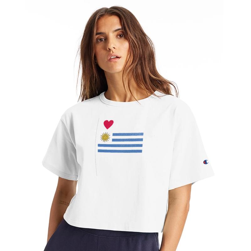 Uruguay Flag