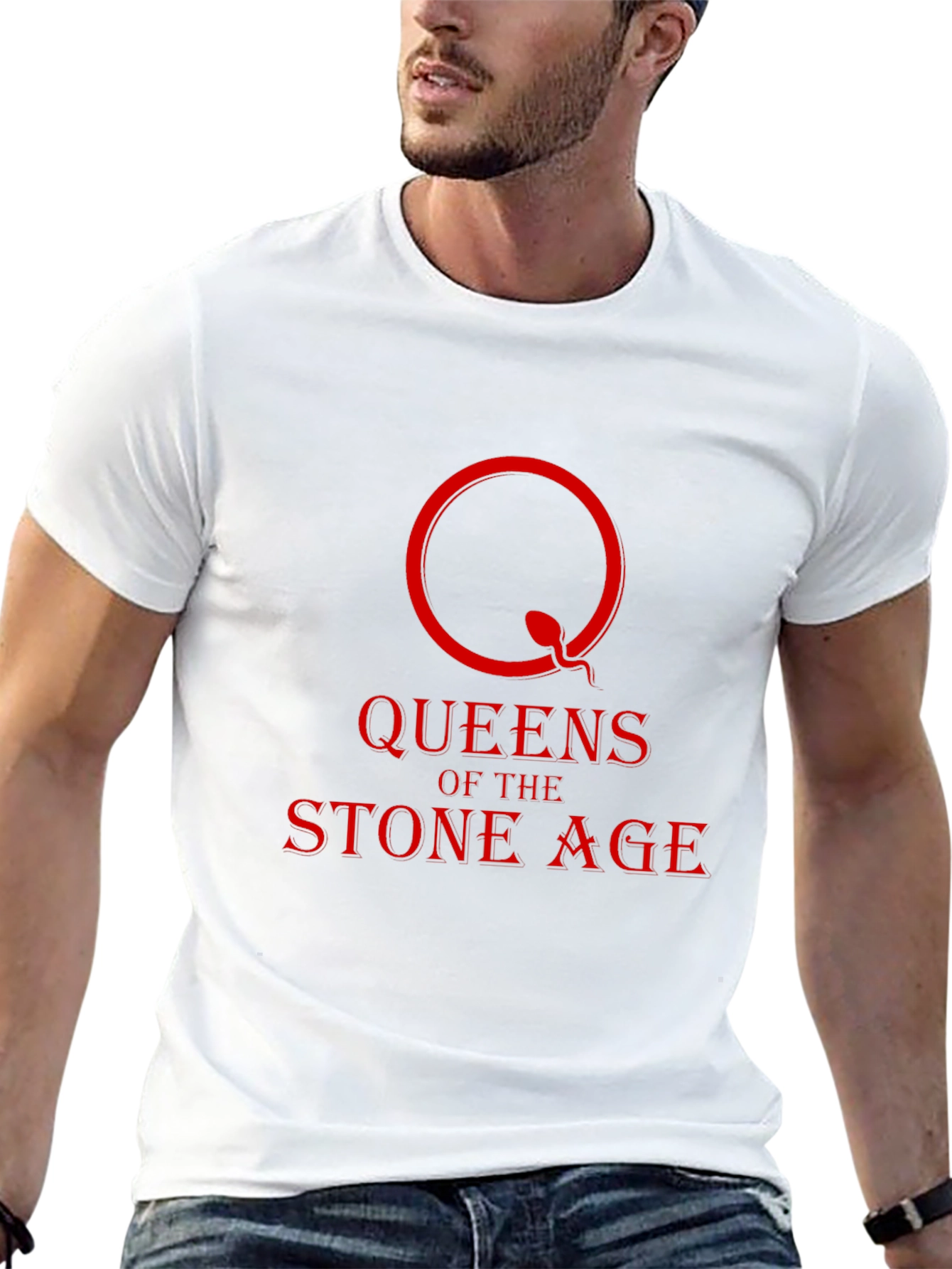 Queens of the Stone Age Band T-Shirt - Black