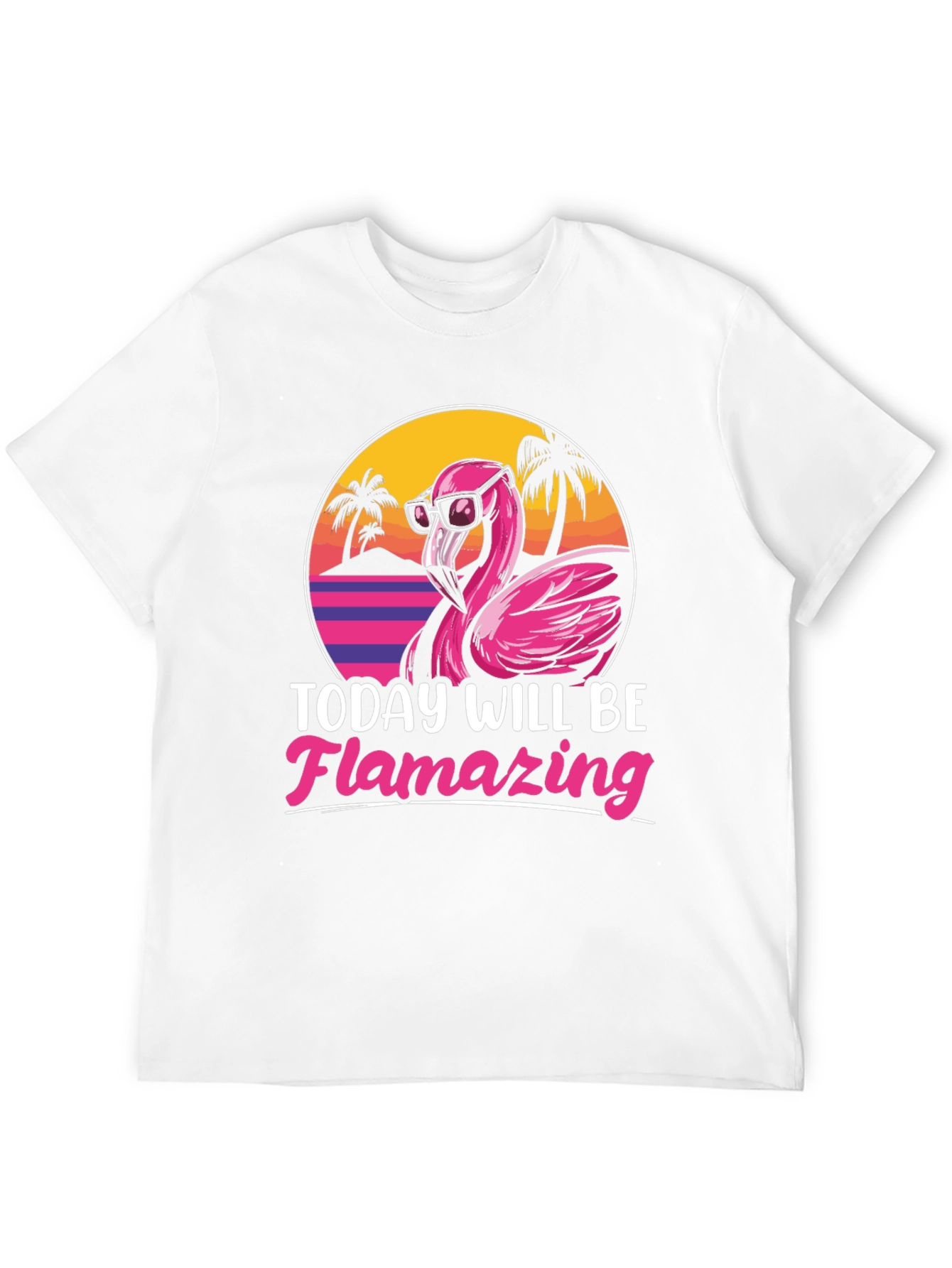 Flamingo Graphic T-Shirt - Today Will Be Flamazing