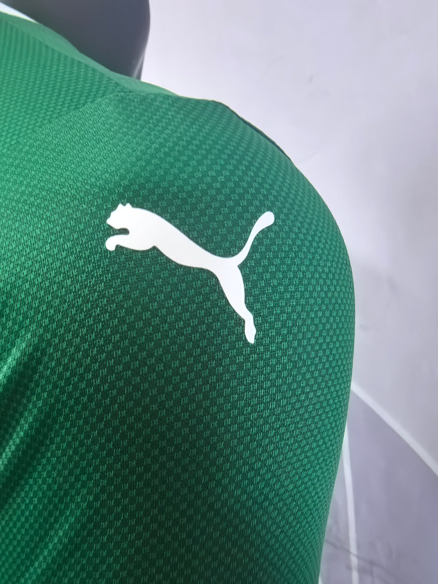 Palmeiras 25-26 Home Player Version Soccer Jersey