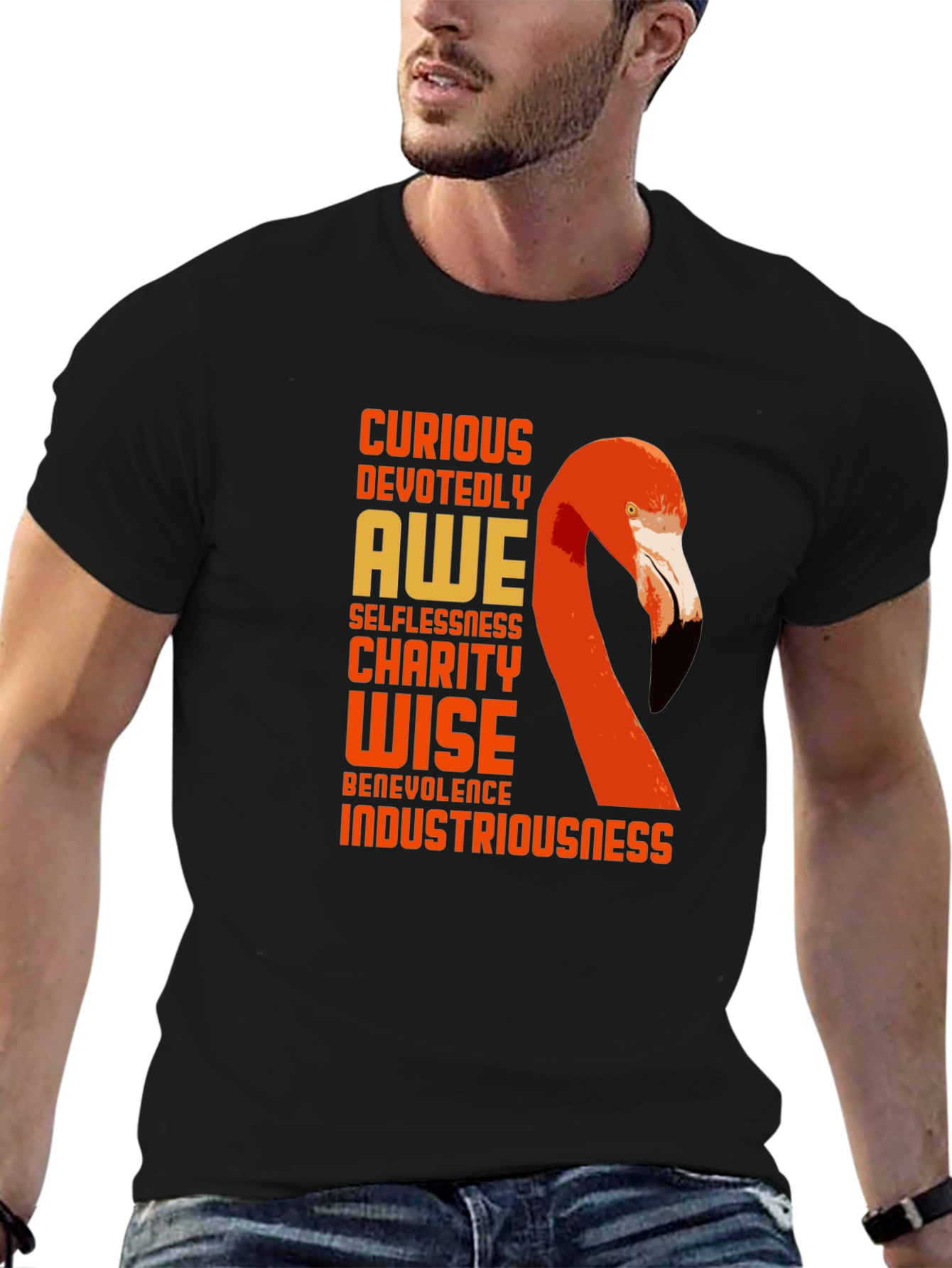 Flamingo Word Art Graphic T-Shirt