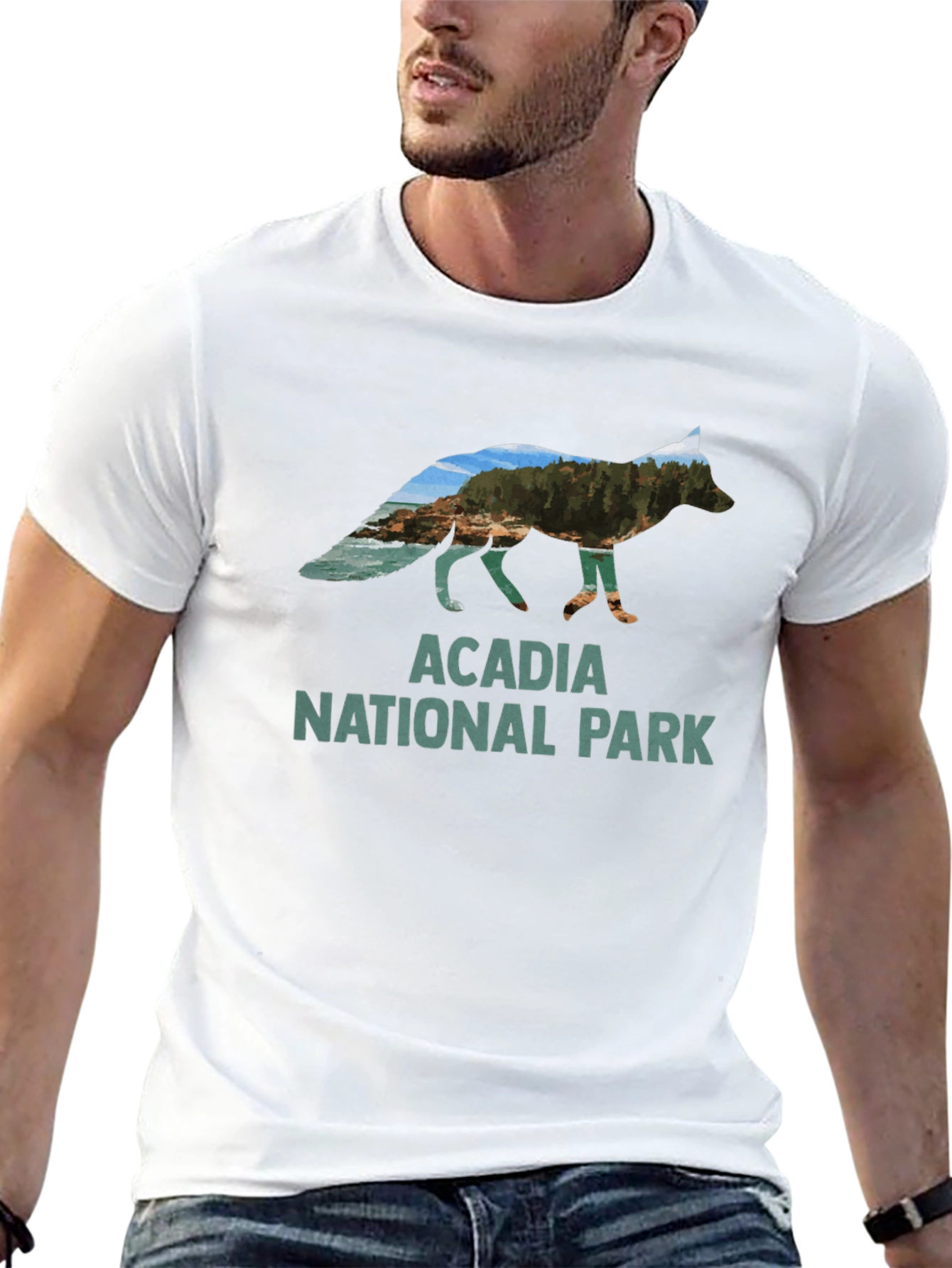 Acadia National Park Fox Graphic T-Shirt