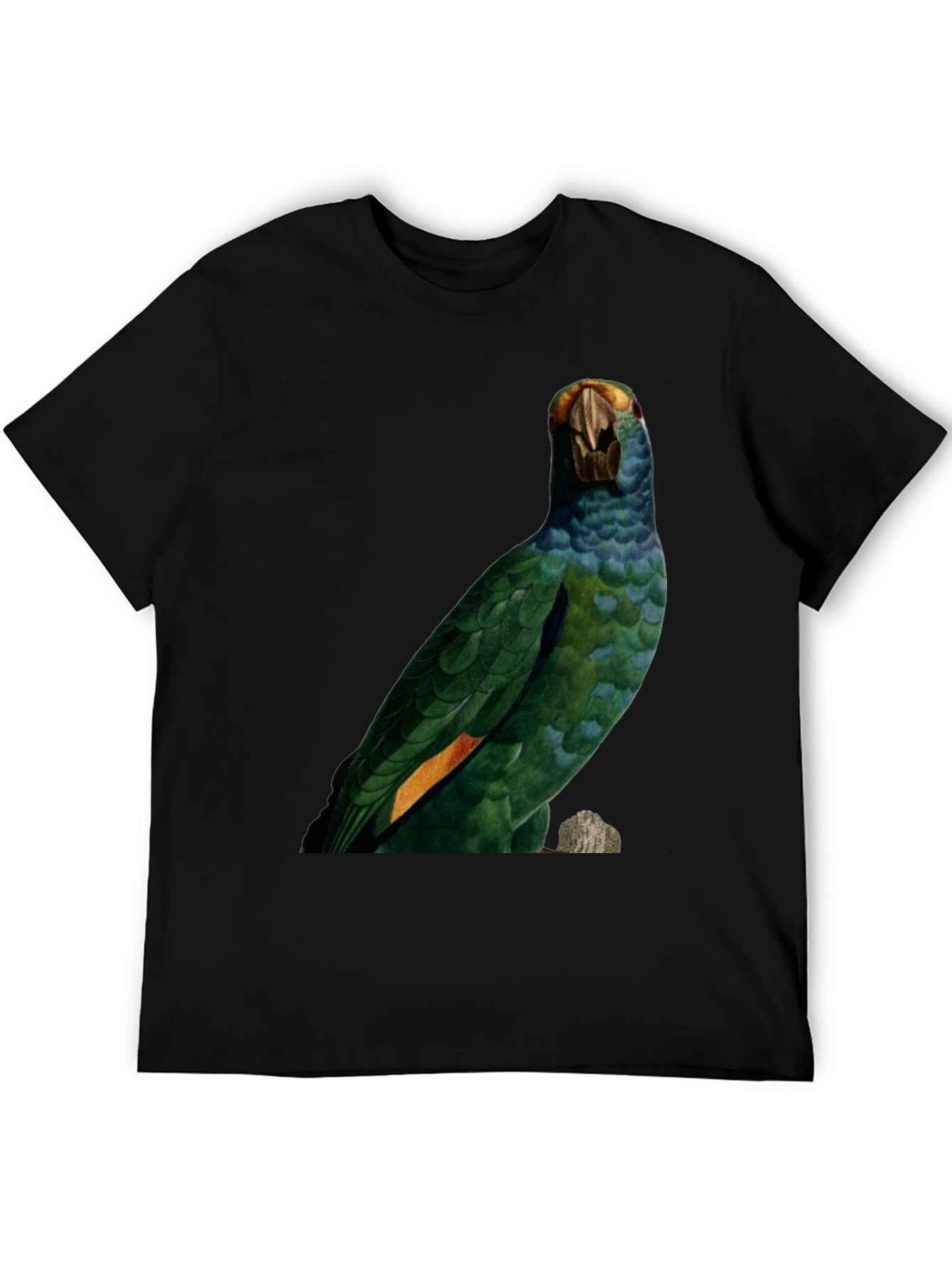 Parrot Graphic Print T-Shirt - Nature Inspired Tee