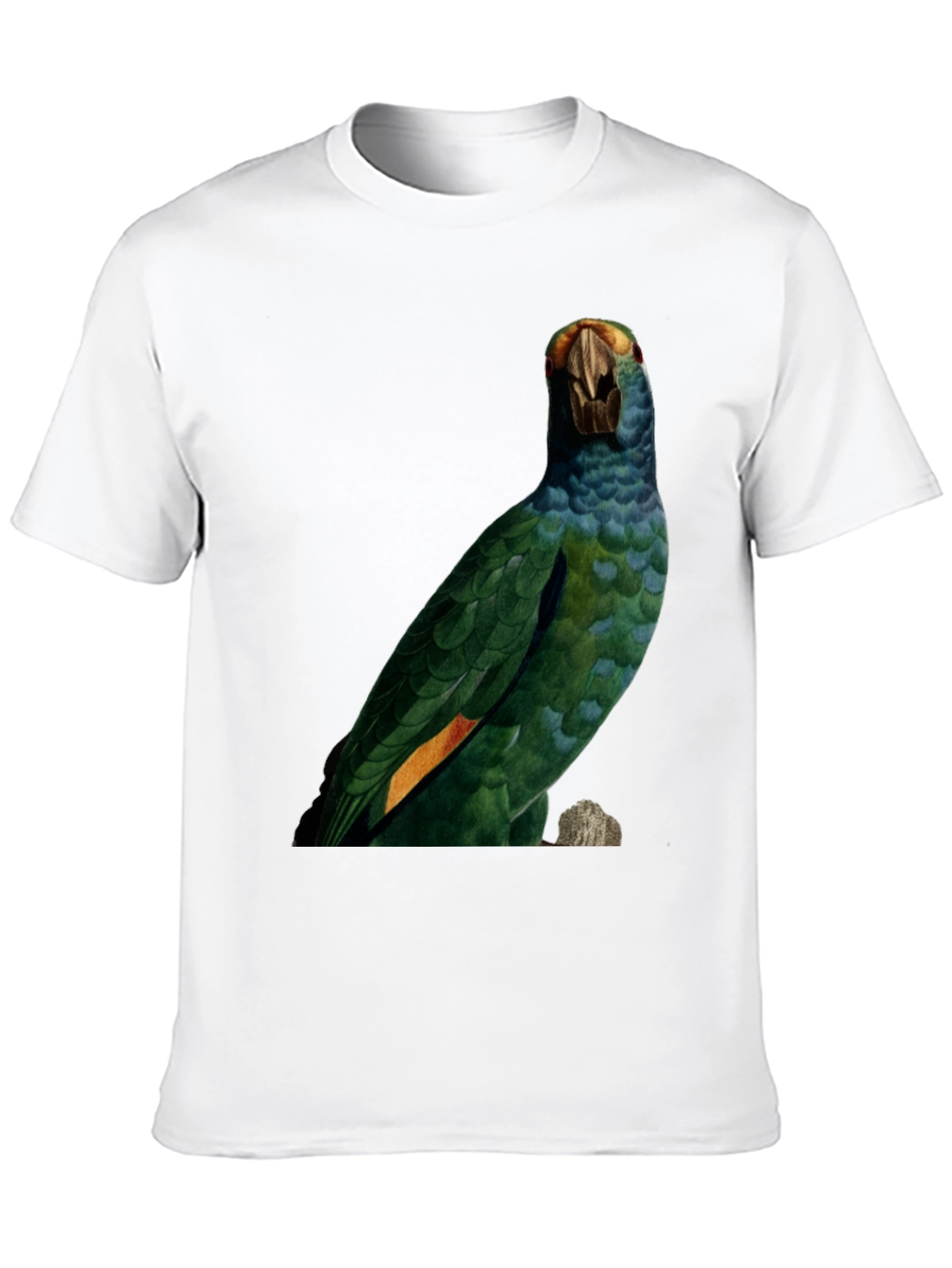 Parrot Graphic Print T-Shirt - Nature Inspired Tee