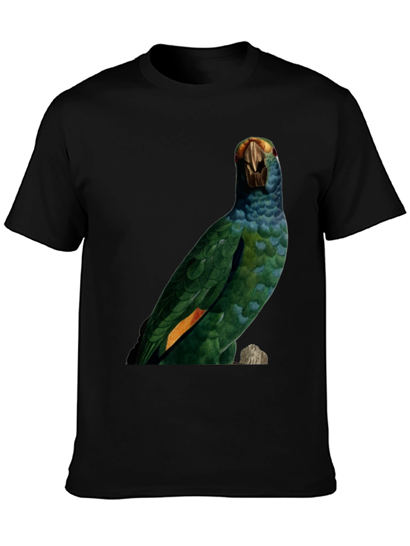 Parrot Graphic Print T-Shirt - Nature Inspired Tee