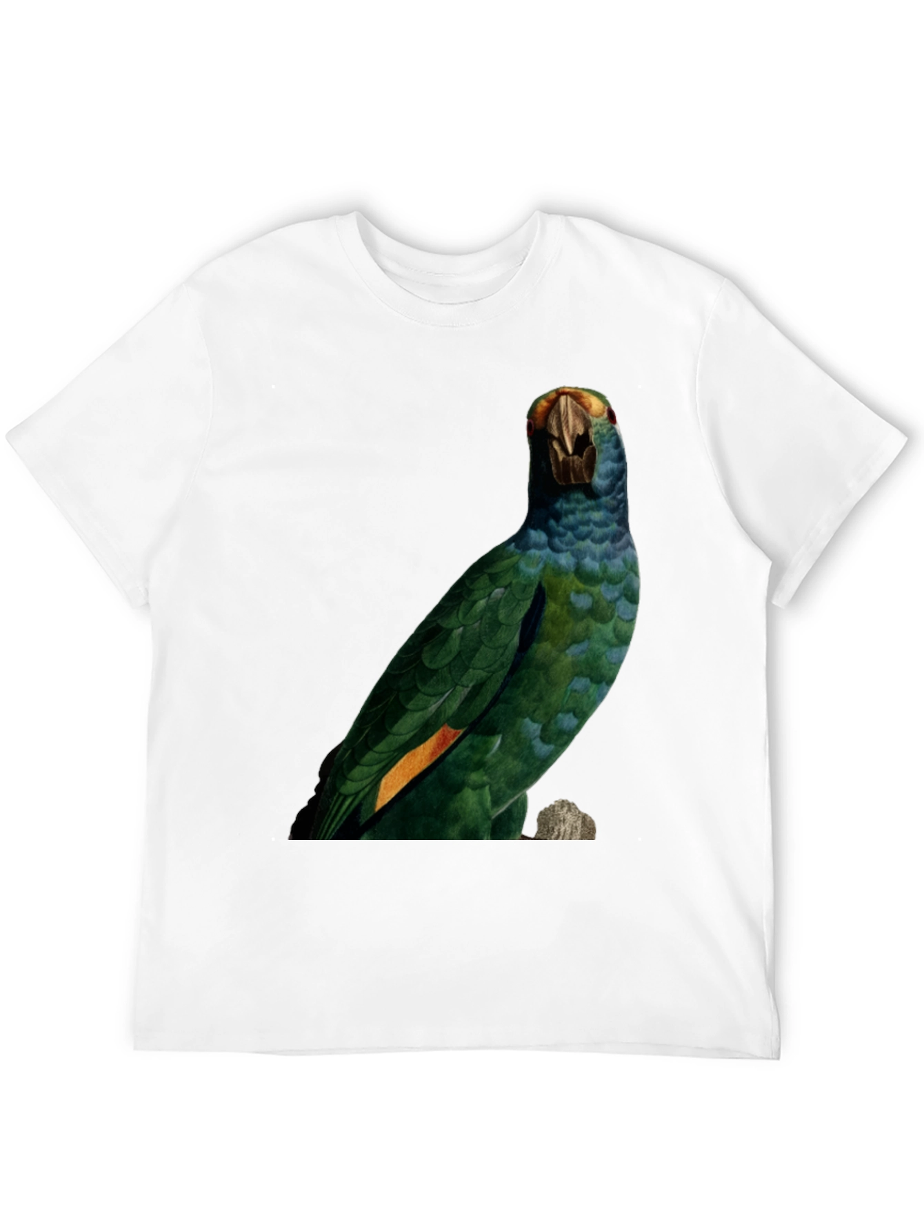 Parrot Graphic Print T-Shirt - Nature Inspired Tee