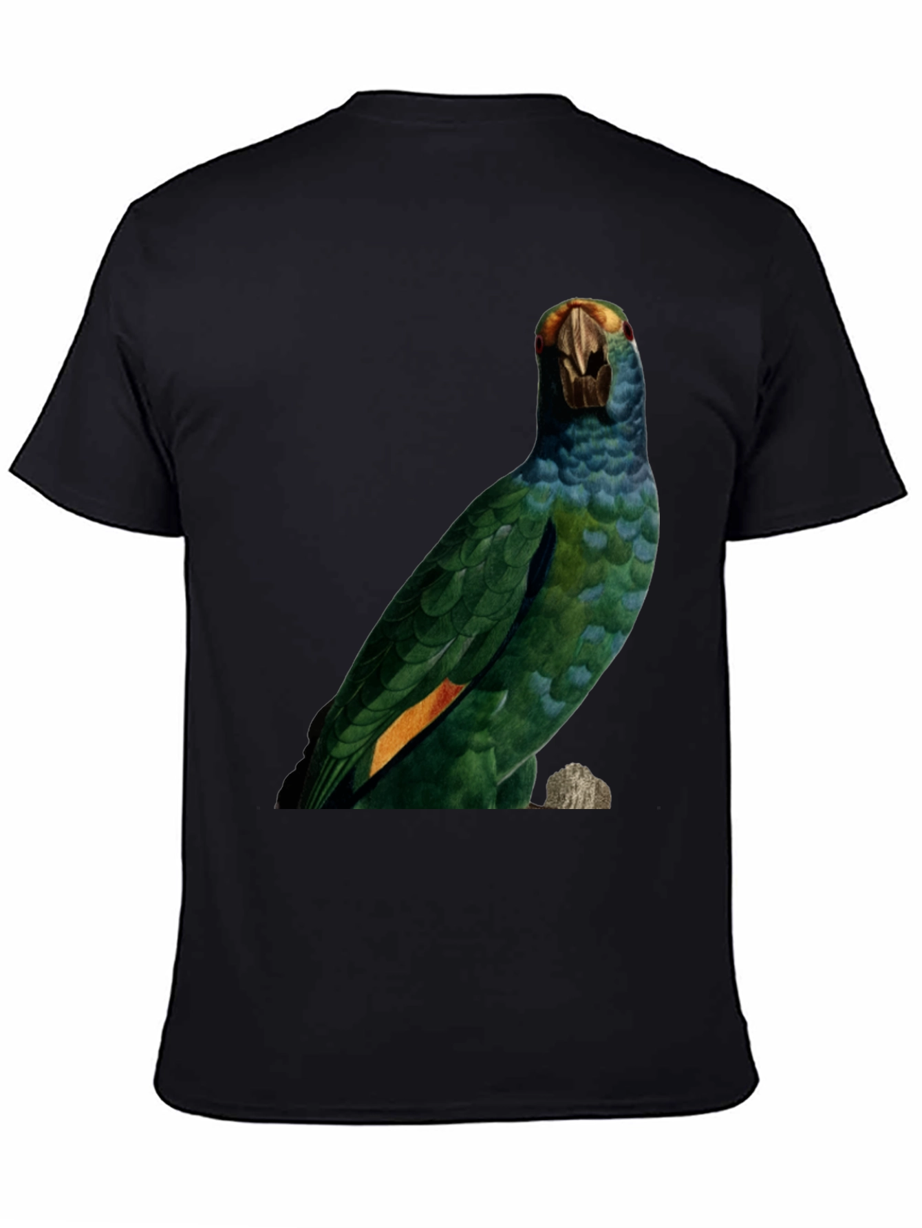 Parrot Graphic Print T-Shirt - Nature Inspired Tee