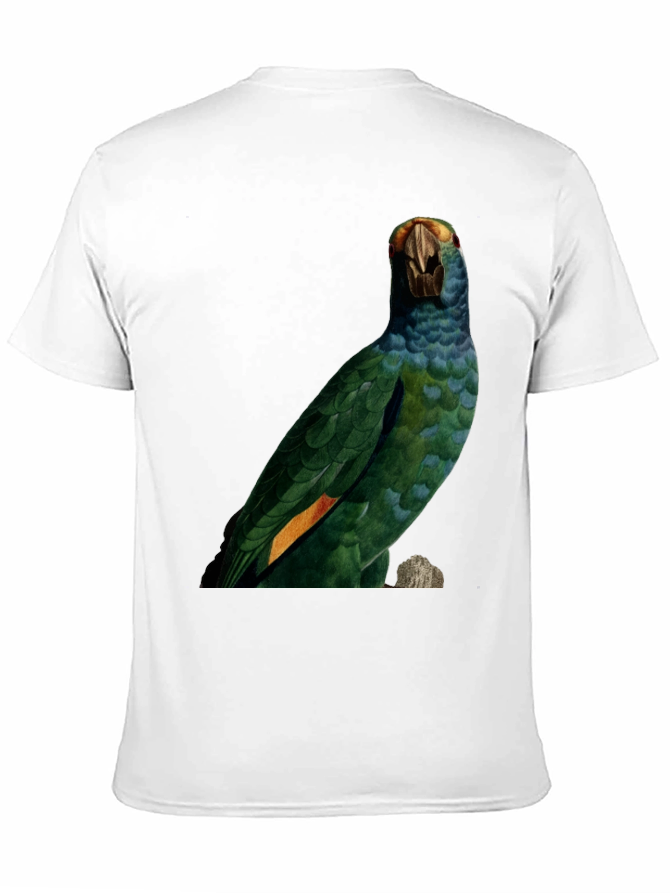 Parrot Graphic Print T-Shirt - Nature Inspired Tee