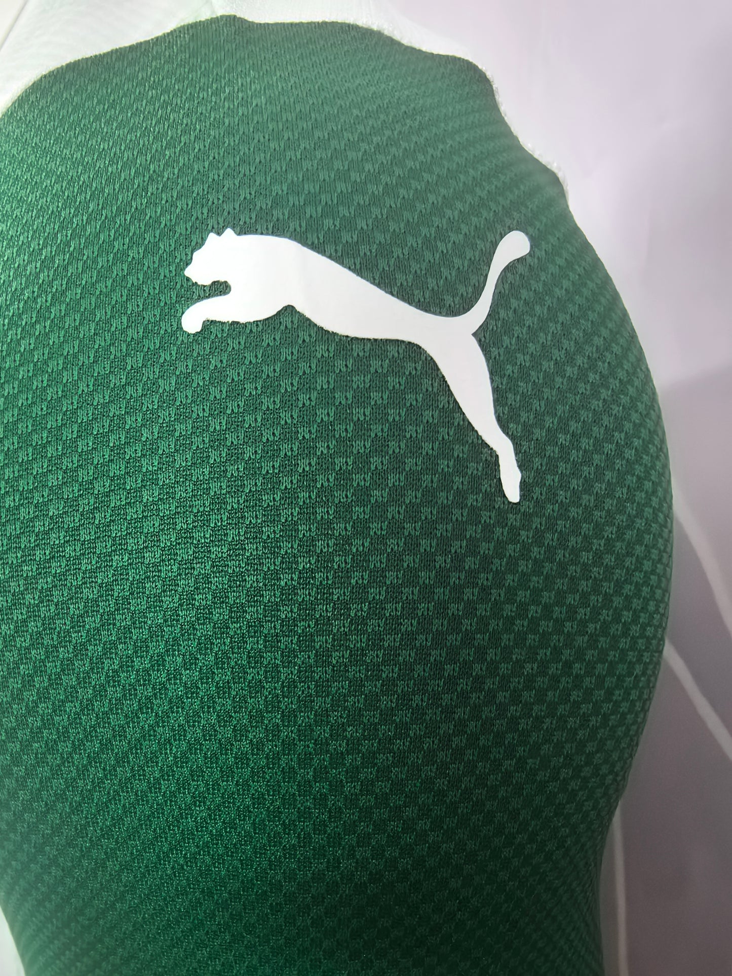 Palmeiras 25-26 Away Player Version Soccer Jersey