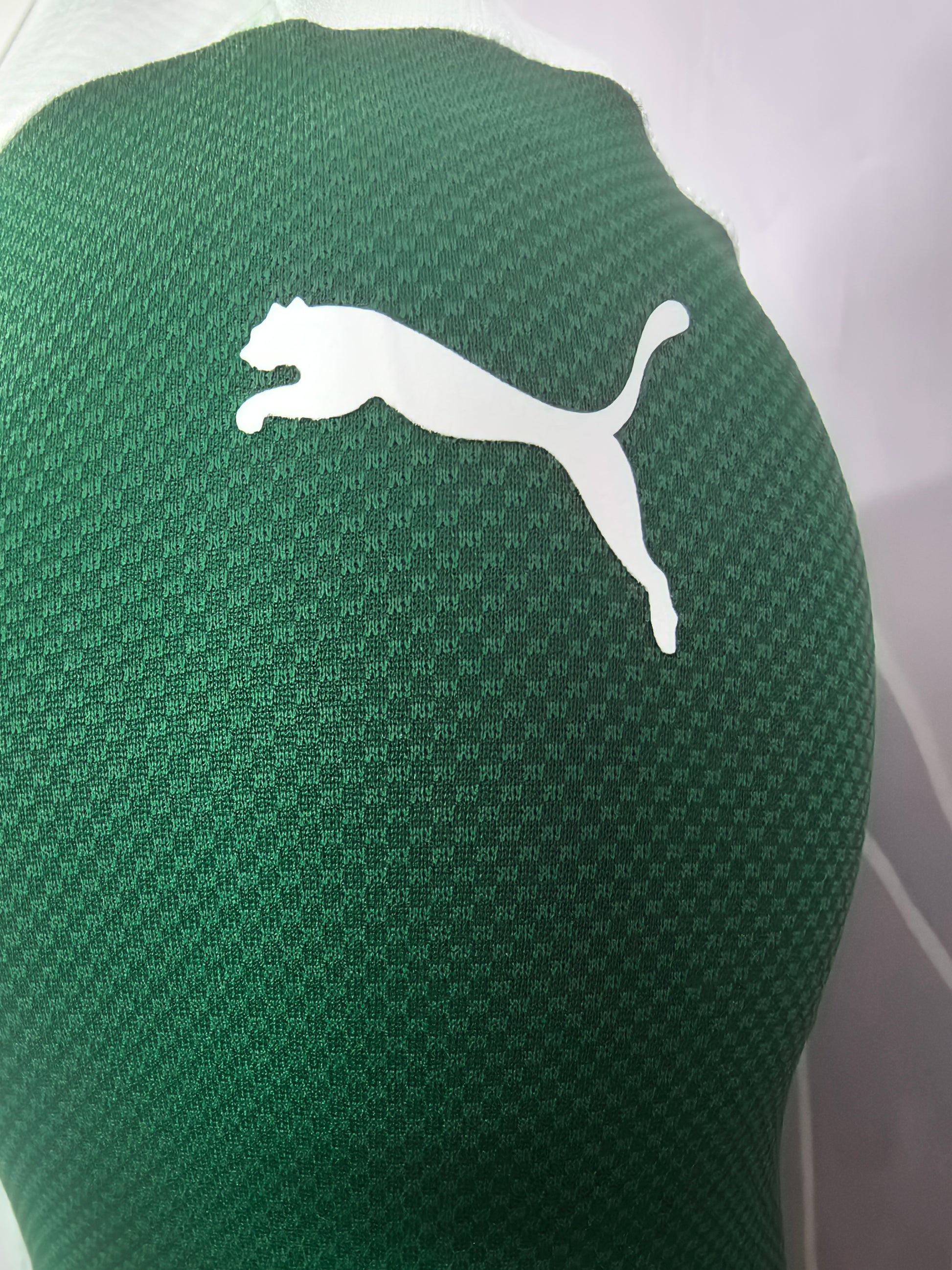 Palmeiras 25-26 Away Player Version Soccer Jersey