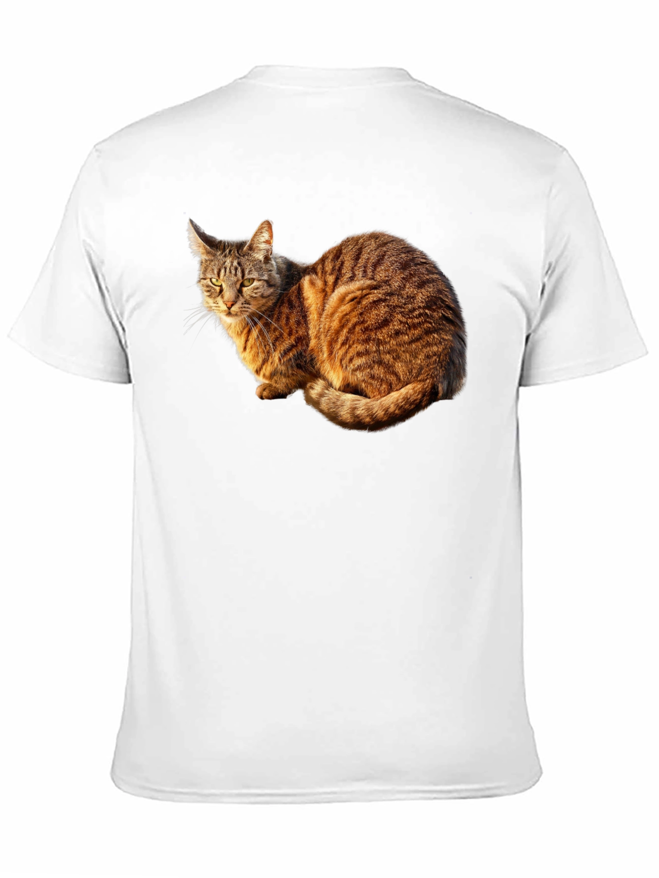 Cat Graphic Black T-Shirt - Unique Design