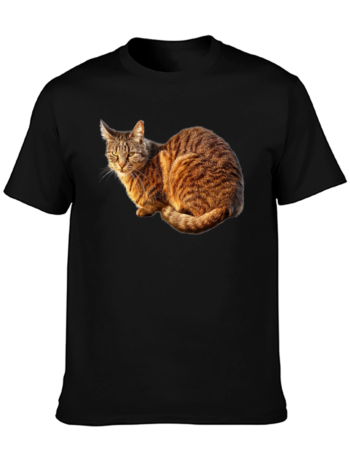 Cat Graphic Black T-Shirt - Unique Design