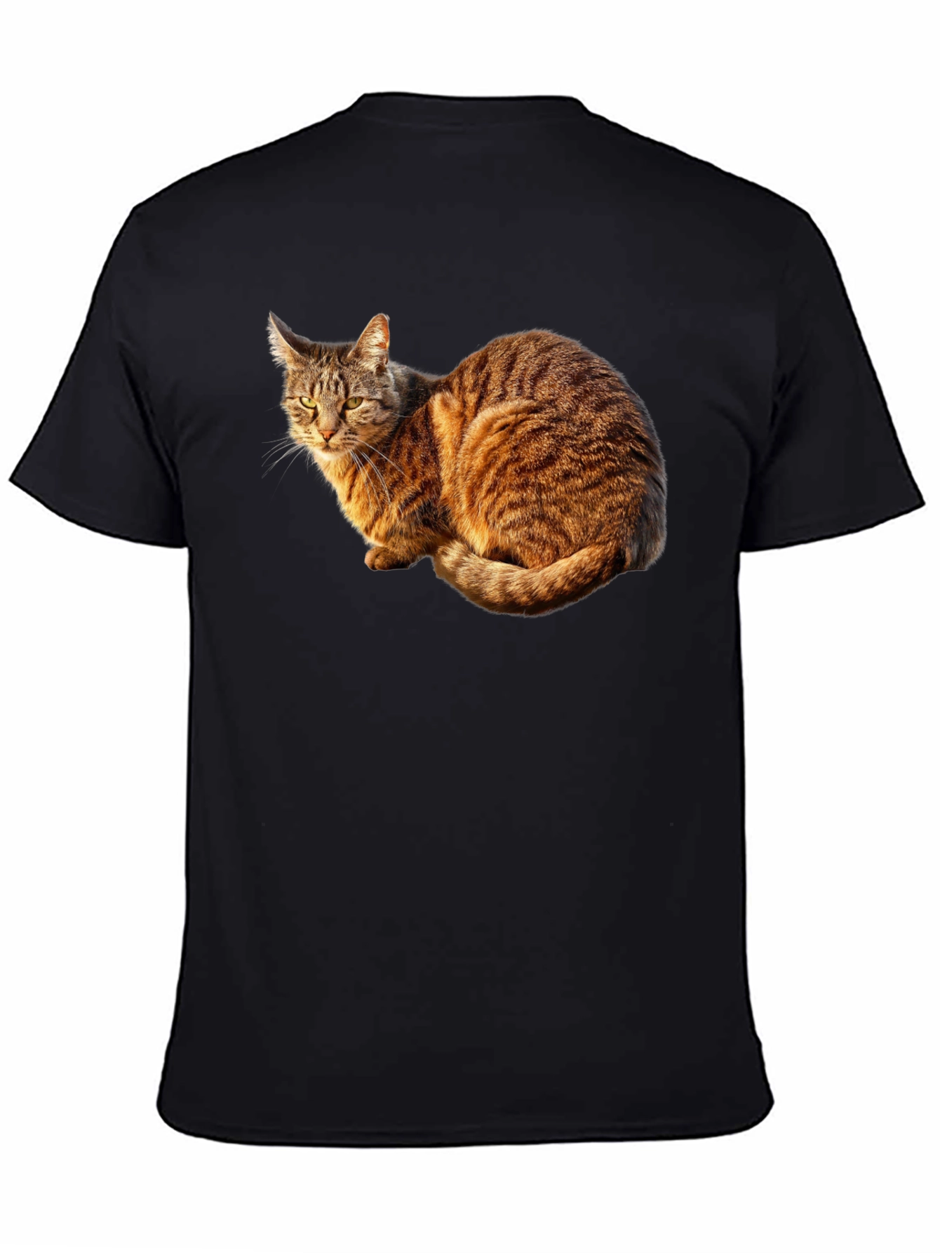 Cat Graphic Black T-Shirt - Unique Design