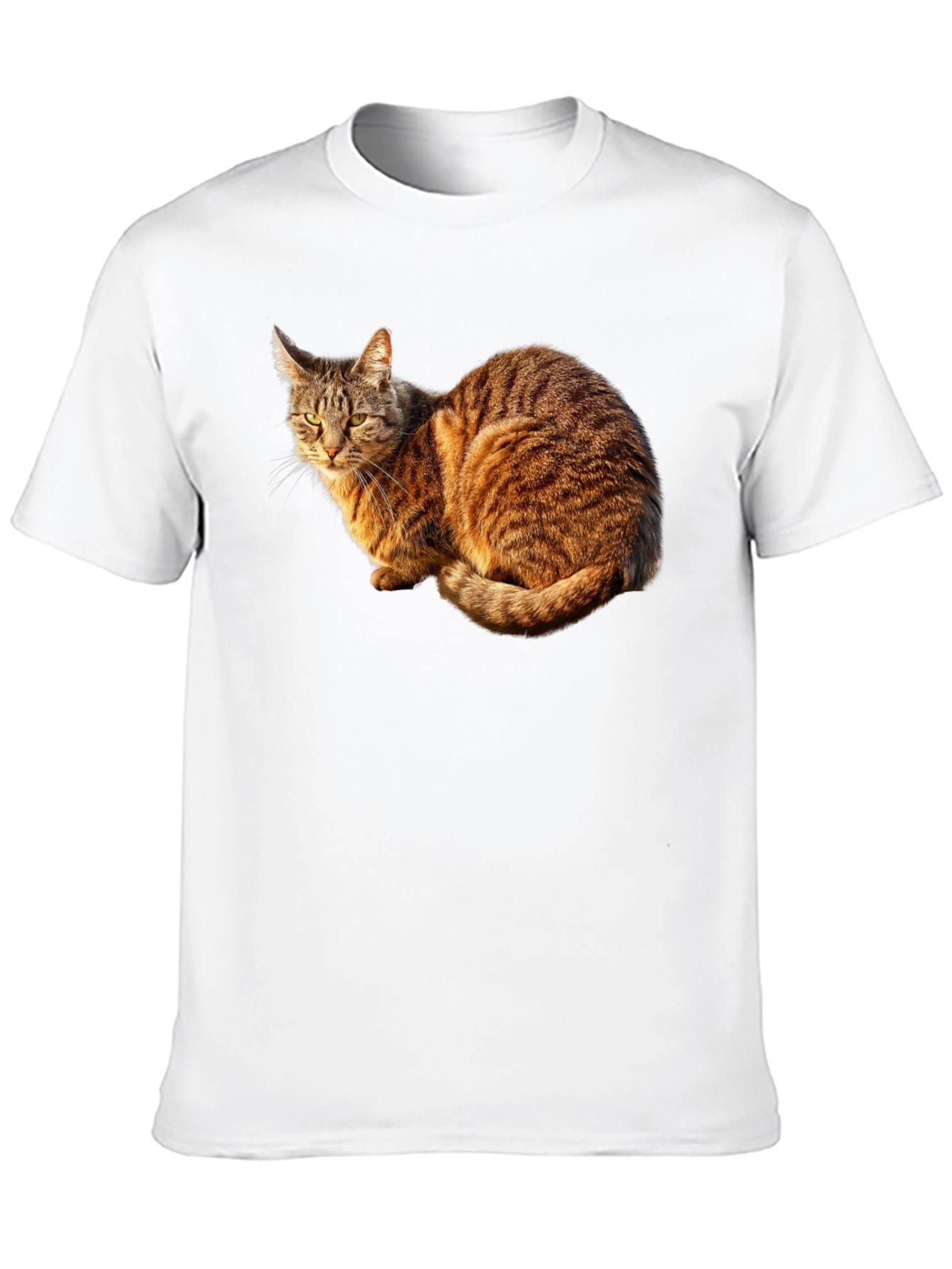 Cat Graphic Black T-Shirt - Unique Design