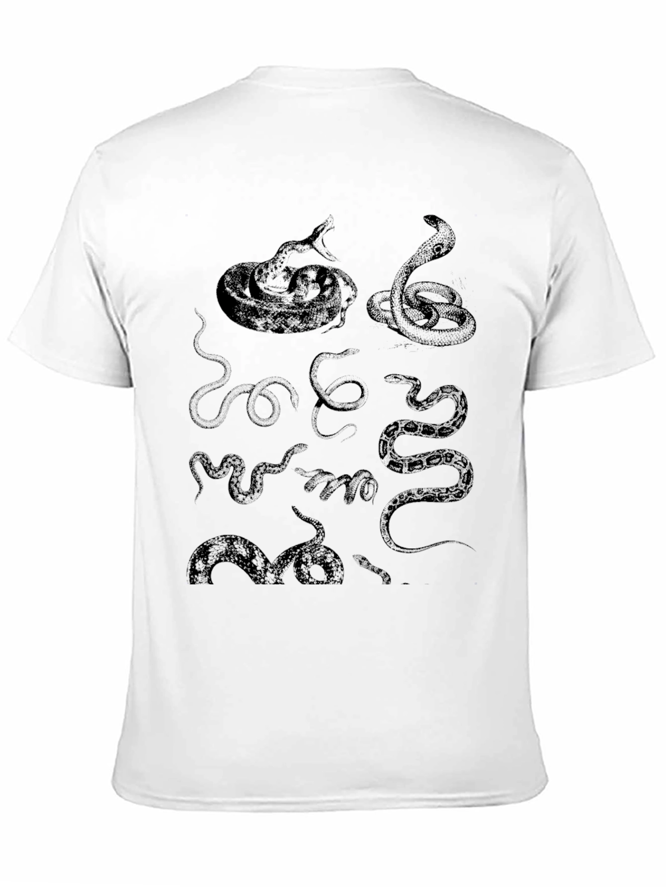 Snakes Graphic T-Shirt - Black