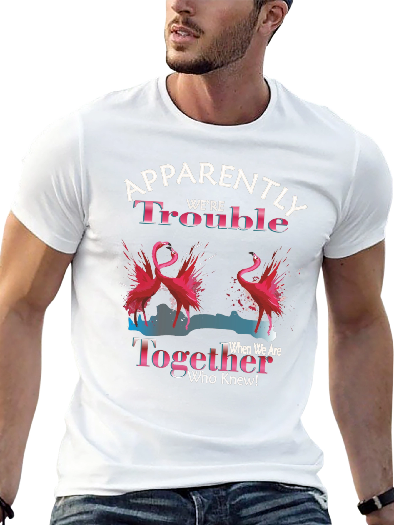 Funny Flamingo Trouble Together Graphic T-Shirt