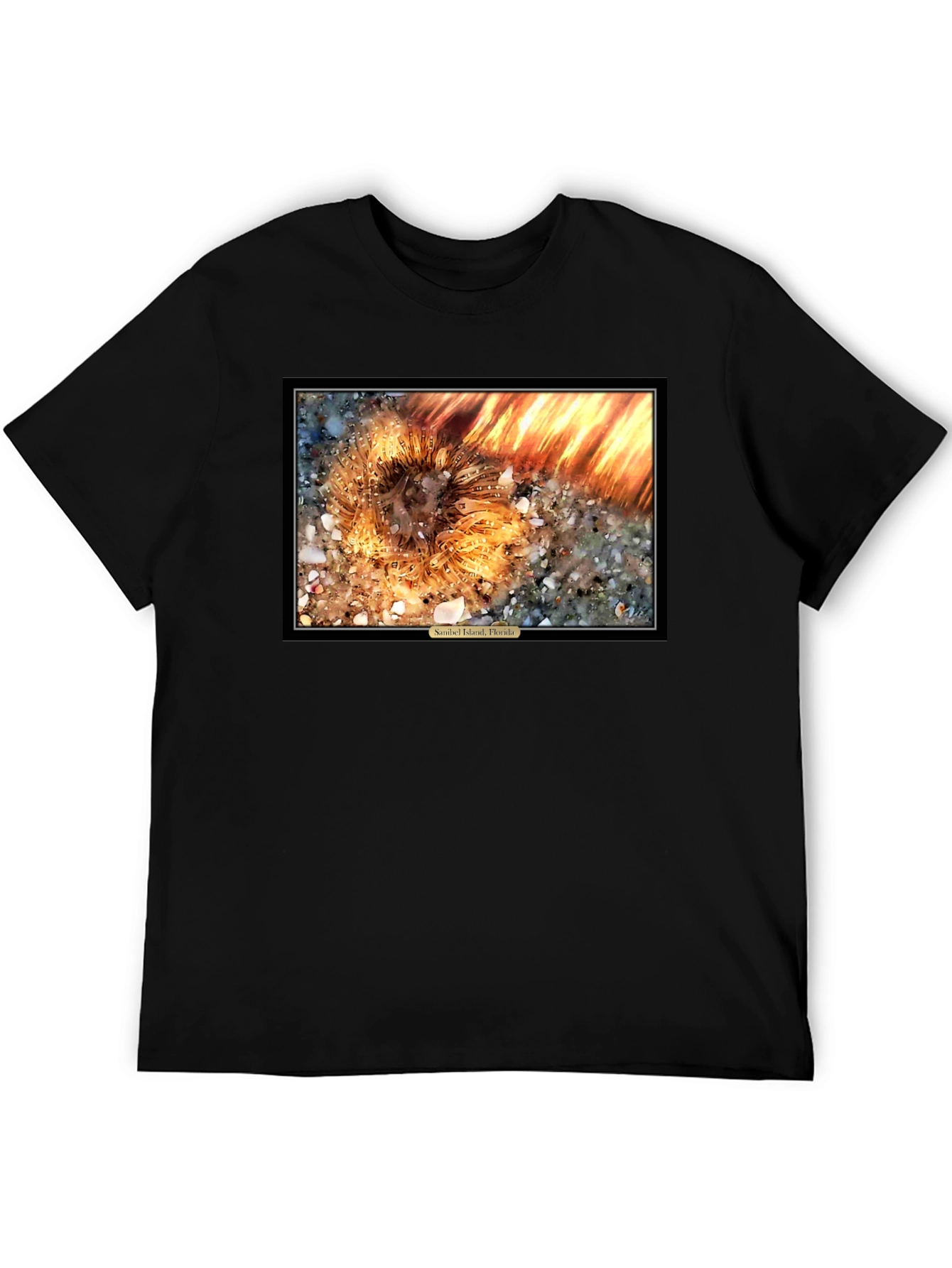 Sanibel Island Florida Sea Urchin T-Shirt