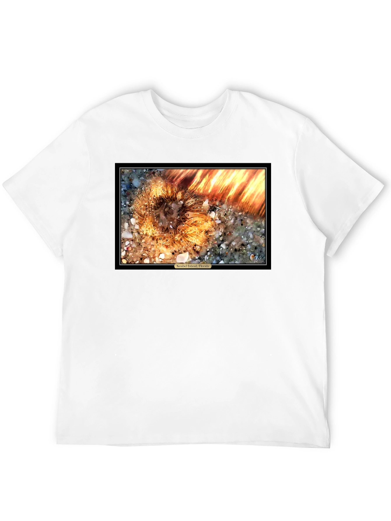 Sanibel Island Florida Sea Urchin T-Shirt