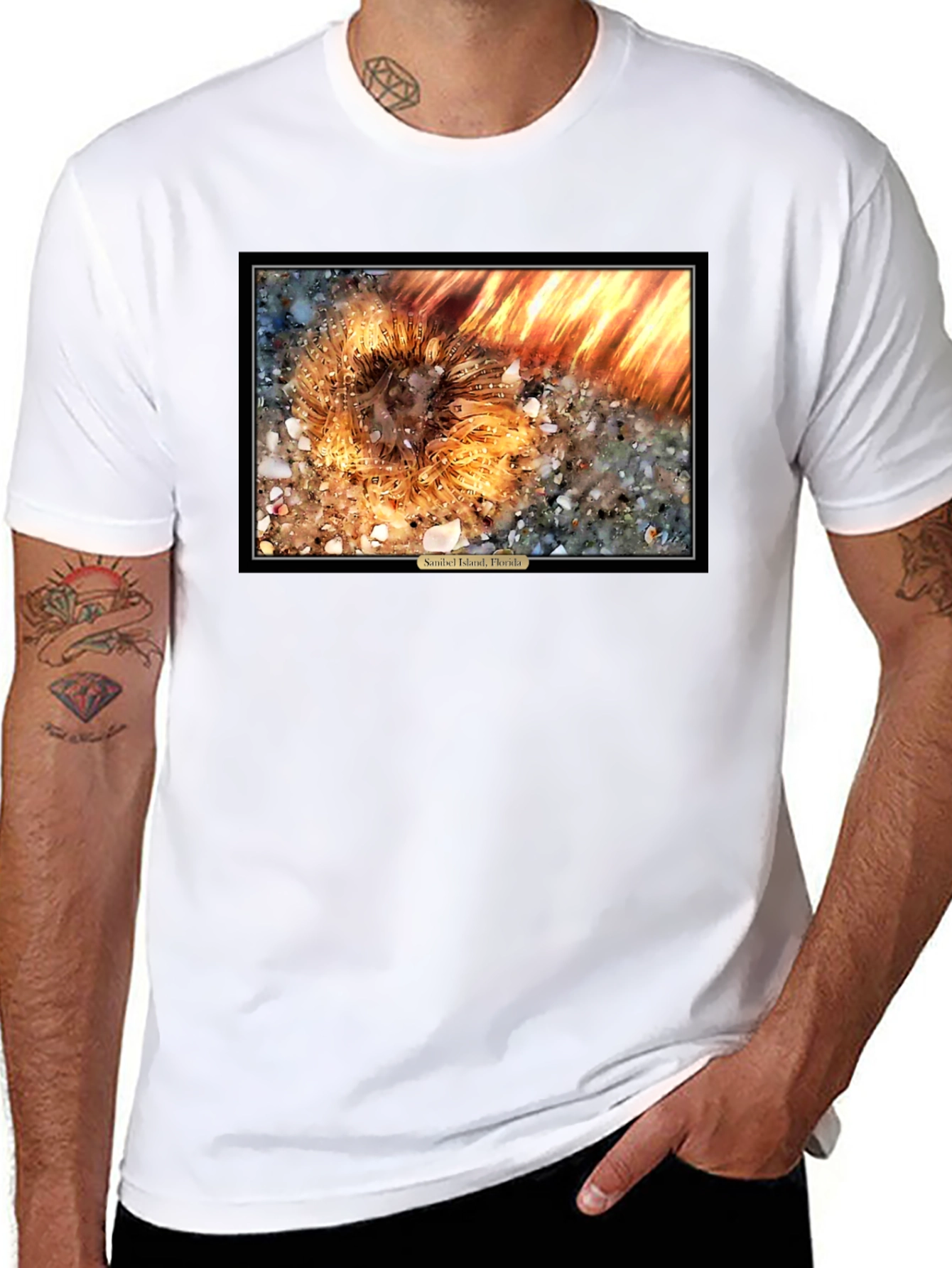 Sanibel Island Florida Sea Urchin T-Shirt