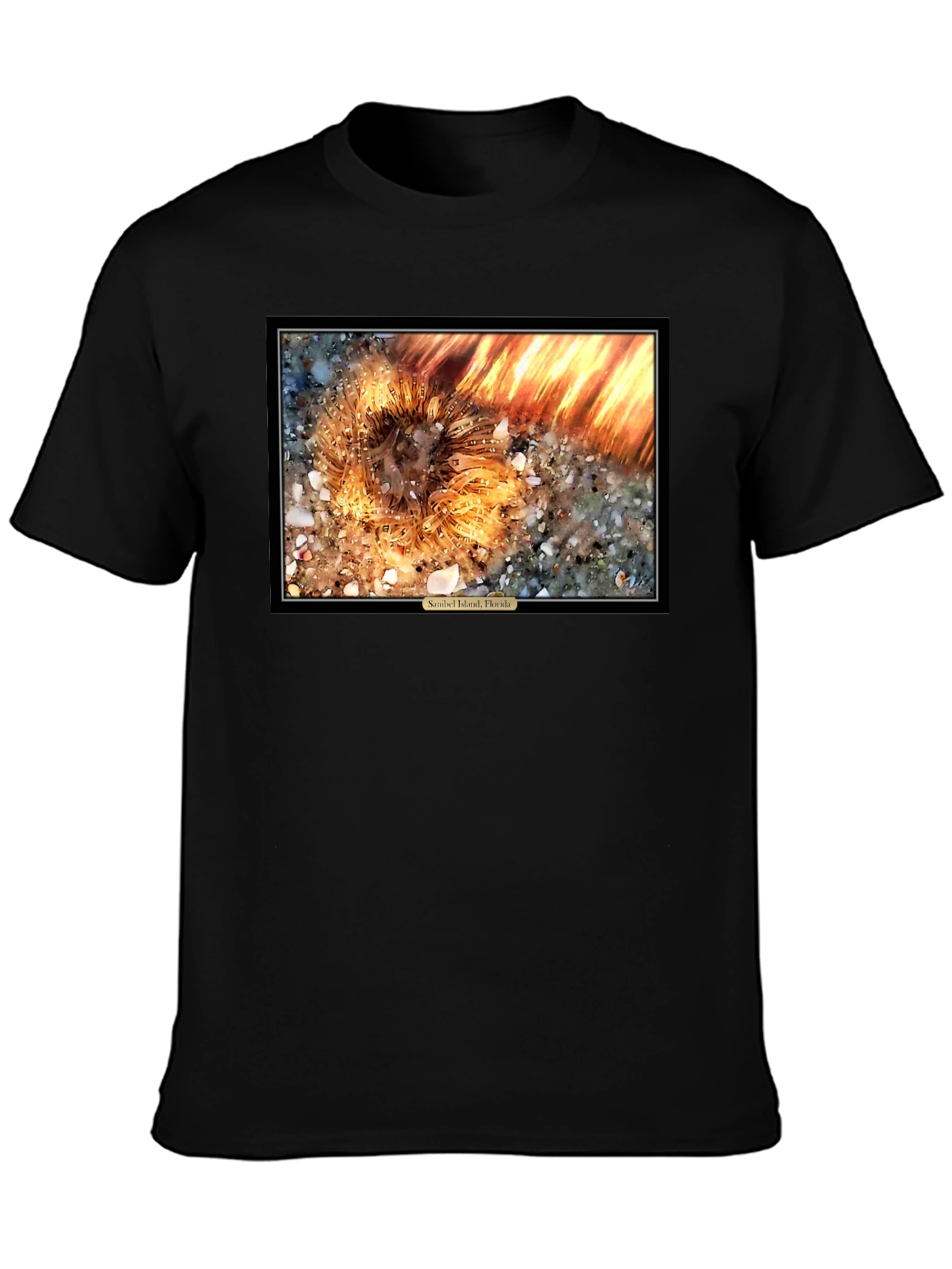 Sanibel Island Florida Sea Urchin T-Shirt
