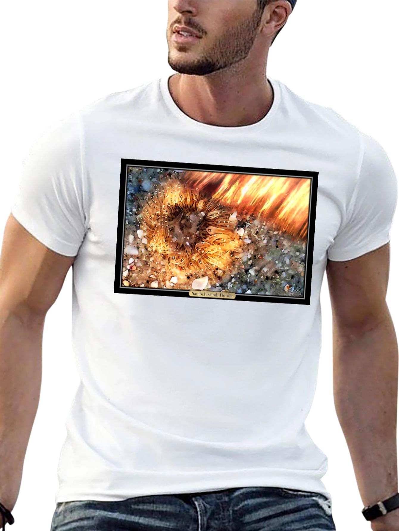 Sanibel Island Florida Sea Urchin T-Shirt