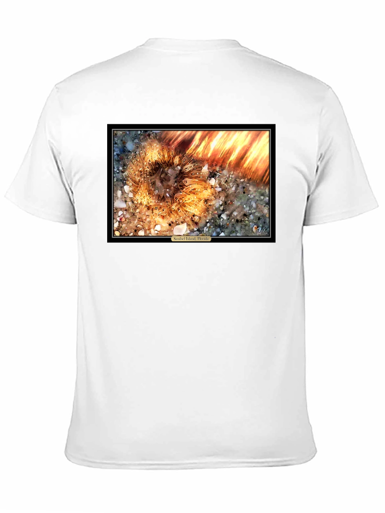 Sanibel Island Florida Sea Urchin T-Shirt