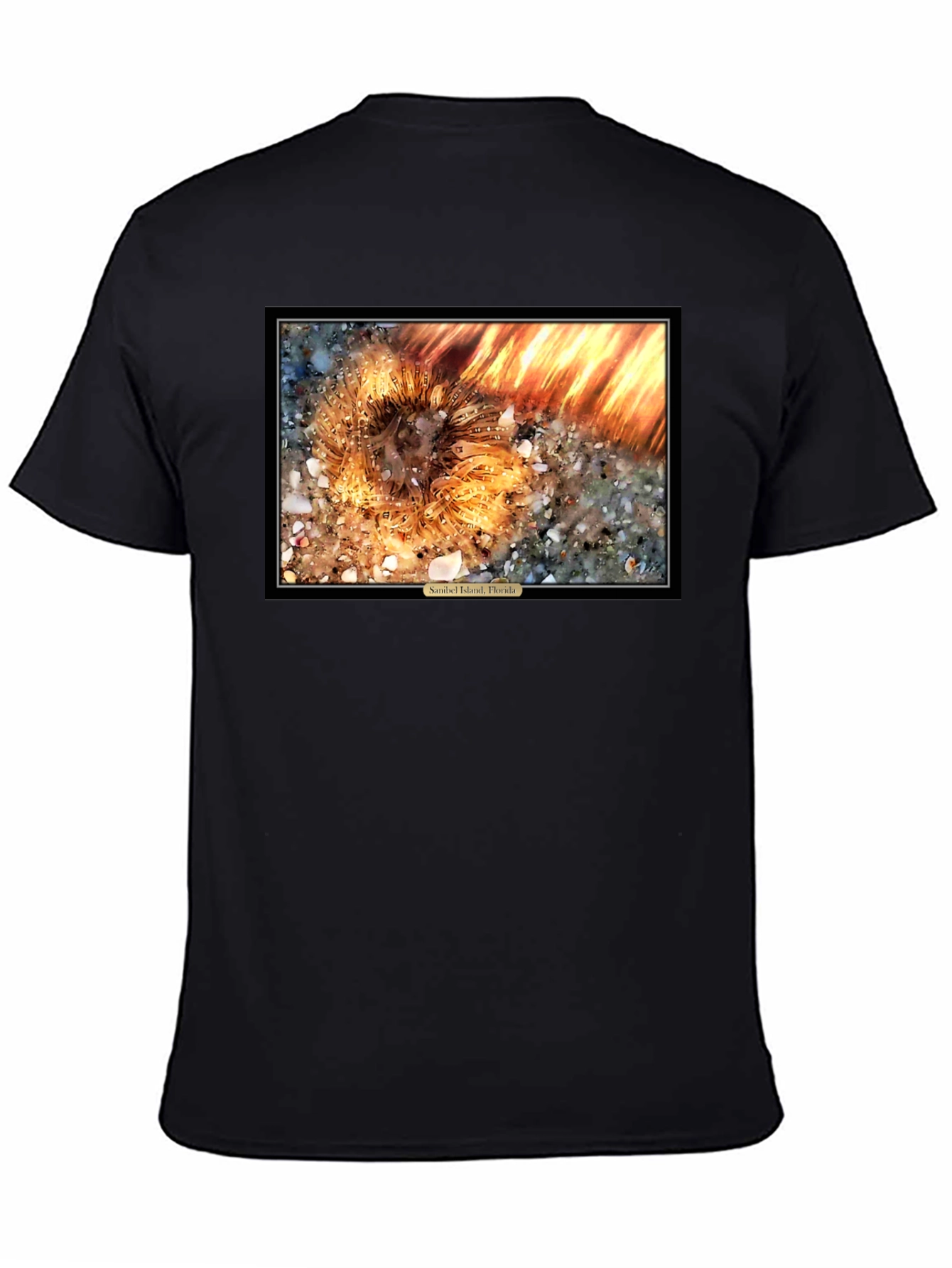 Sanibel Island Florida Sea Urchin T-Shirt