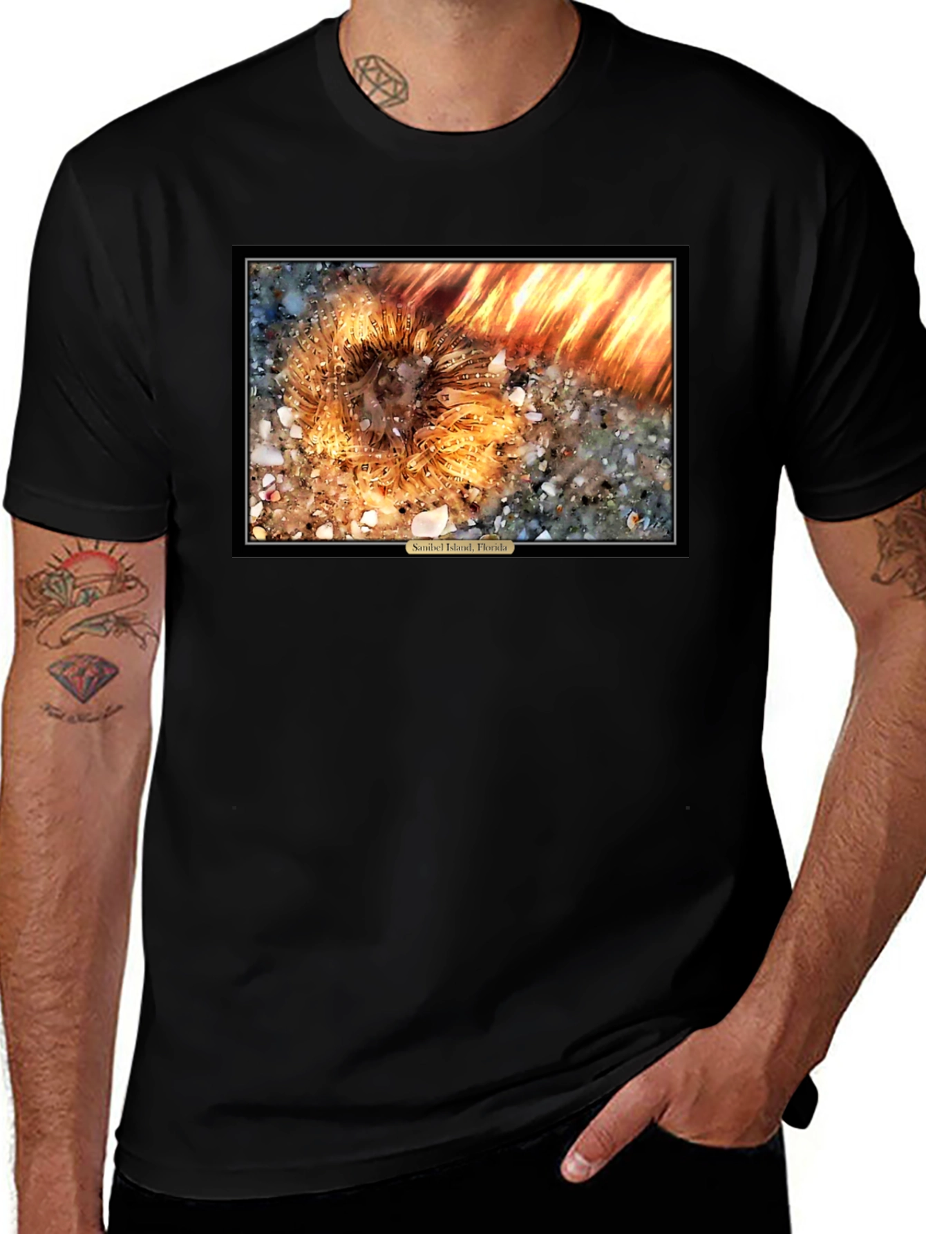 Sanibel Island Florida Sea Urchin T-Shirt