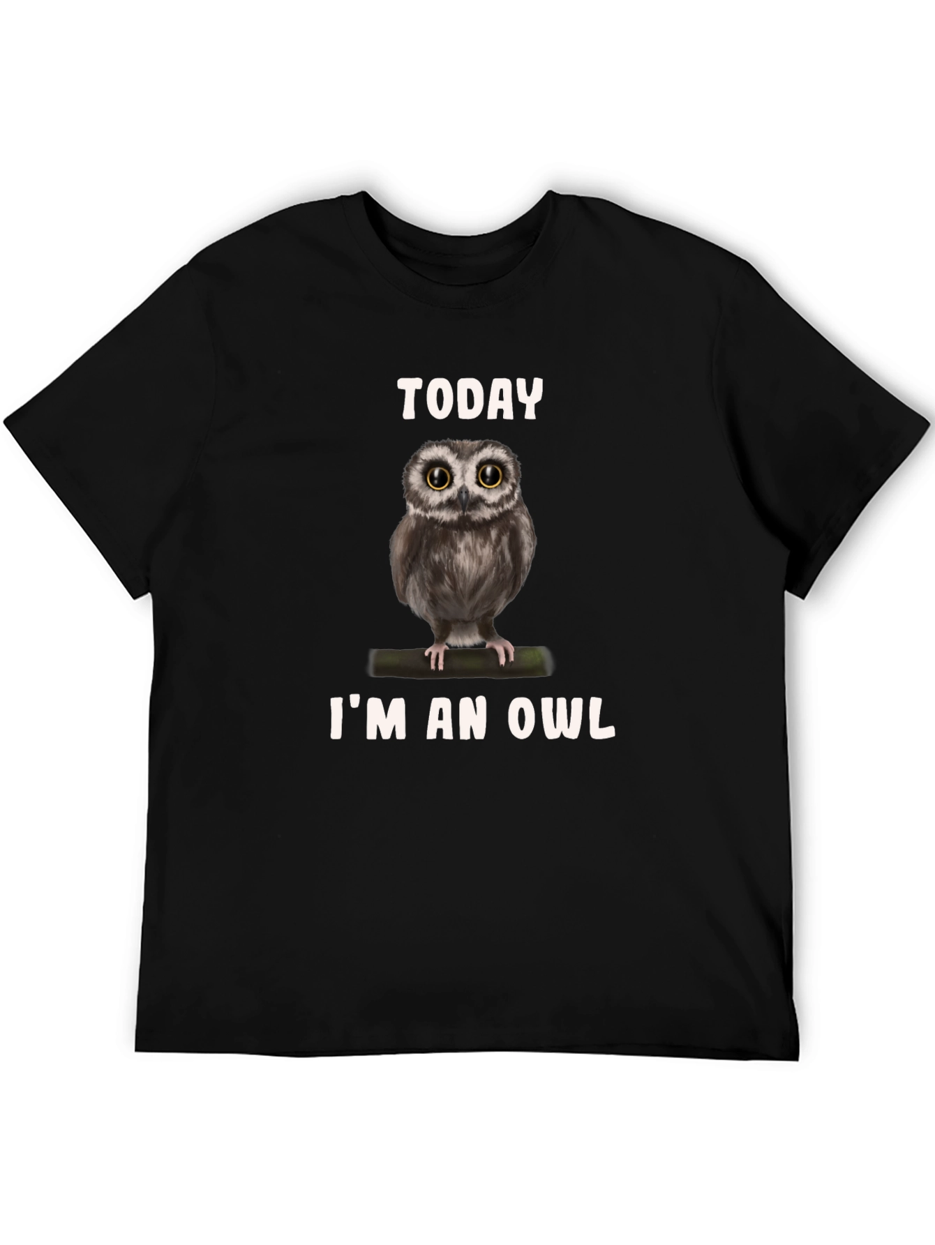 Today Im an Owl T-Shirt