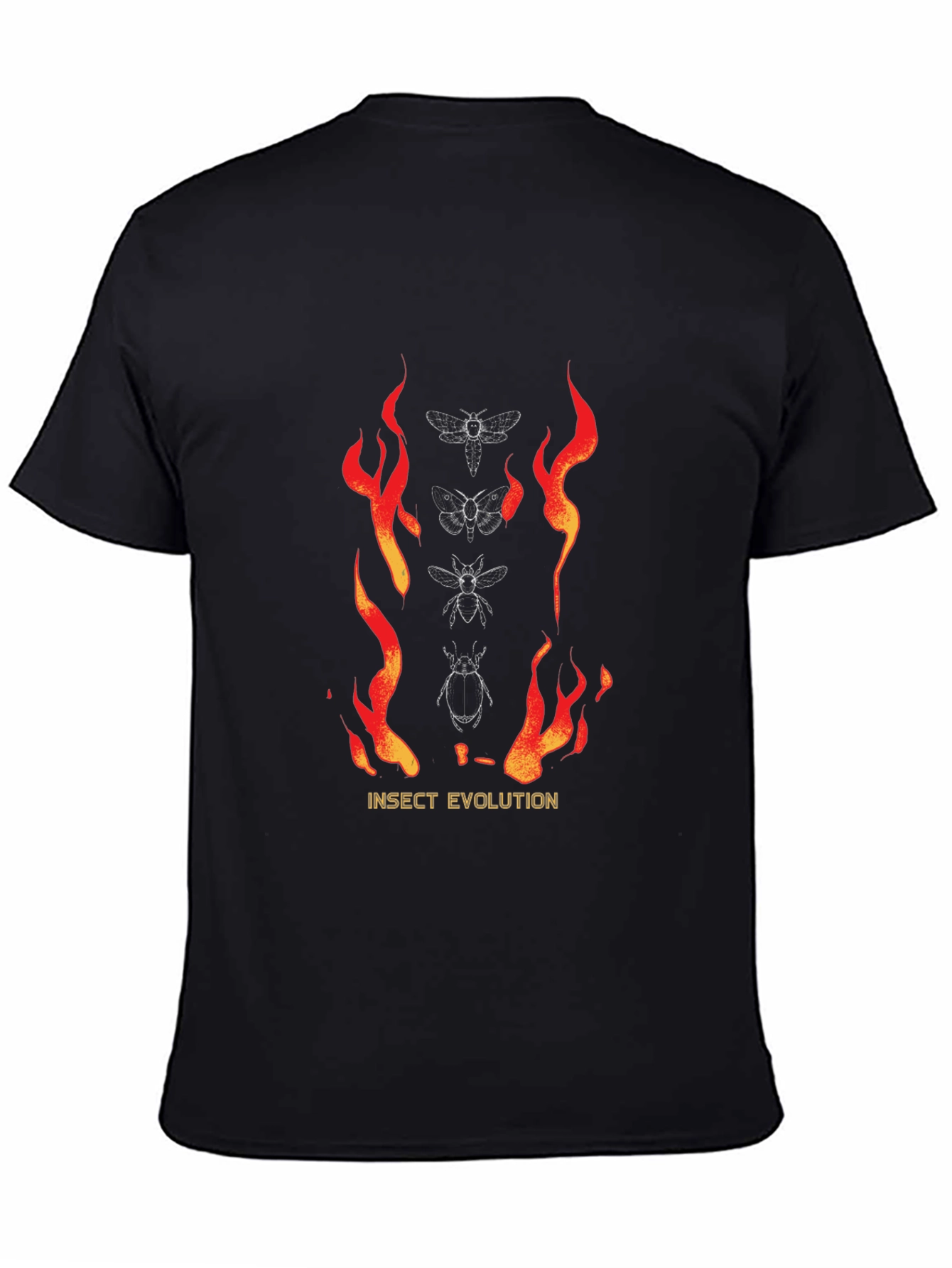 Insect Evolution Graphic Tee - Black