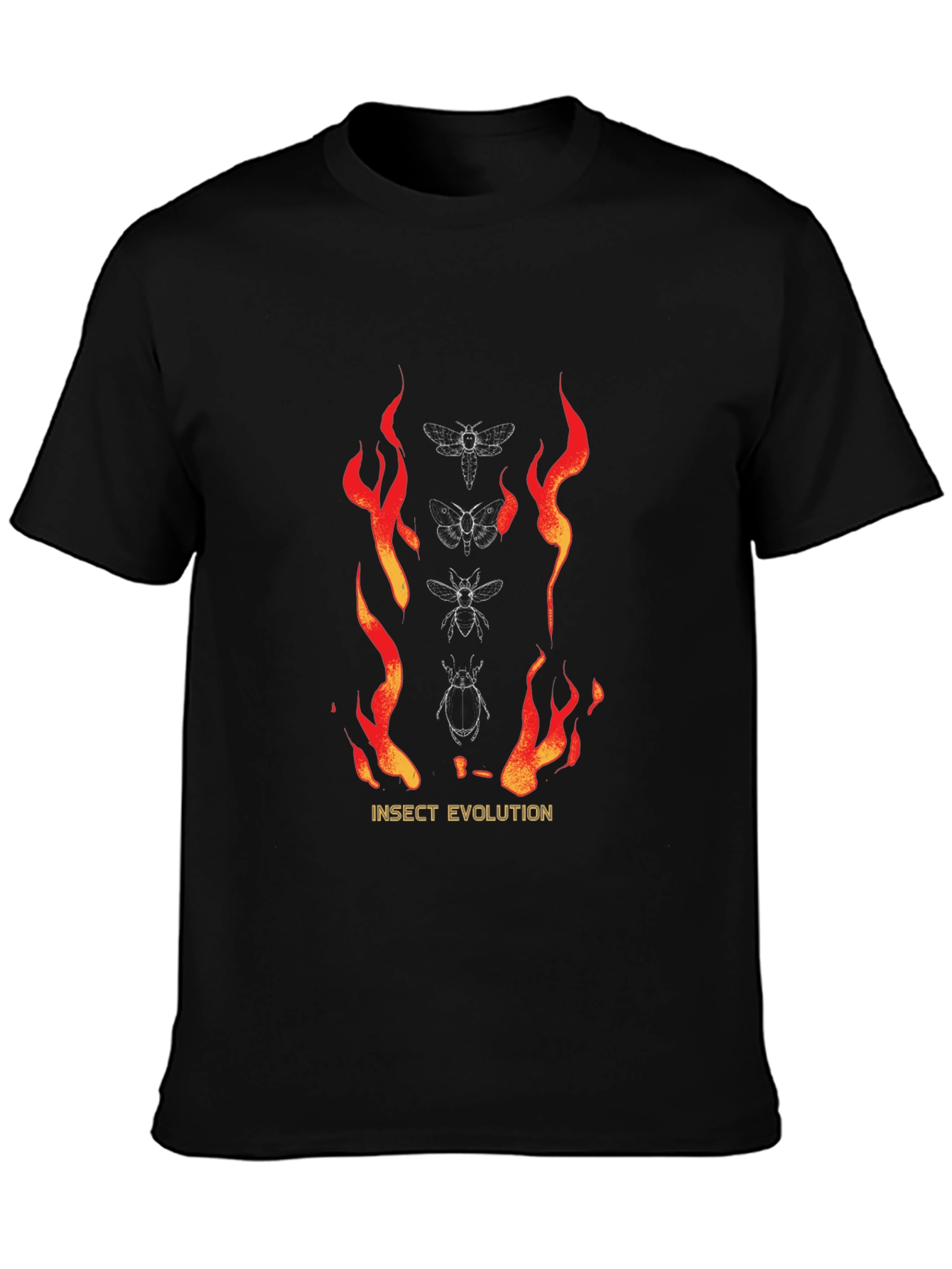 Insect Evolution Graphic Tee - Black