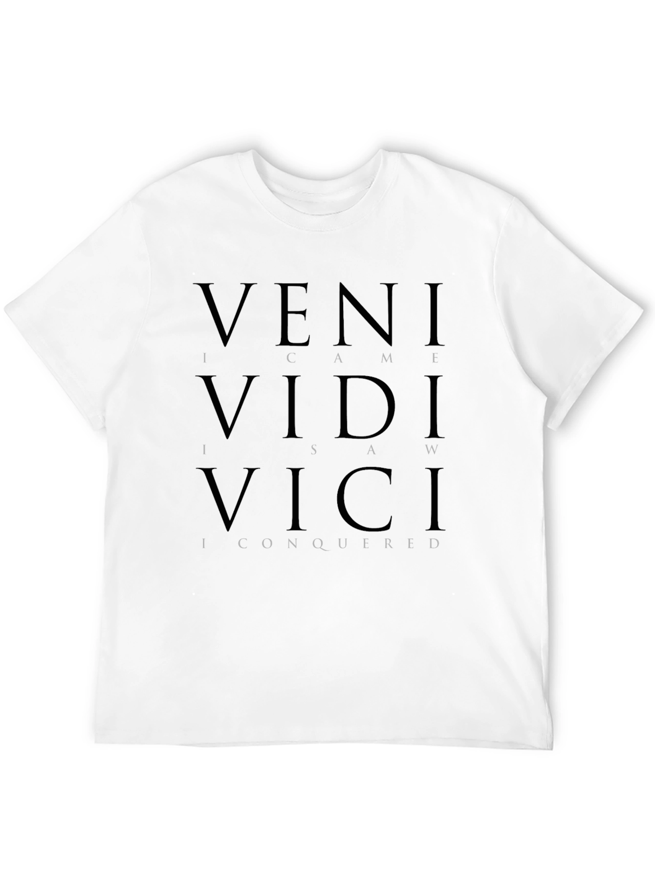 Veni Vidi Vici Graphic T-Shirt