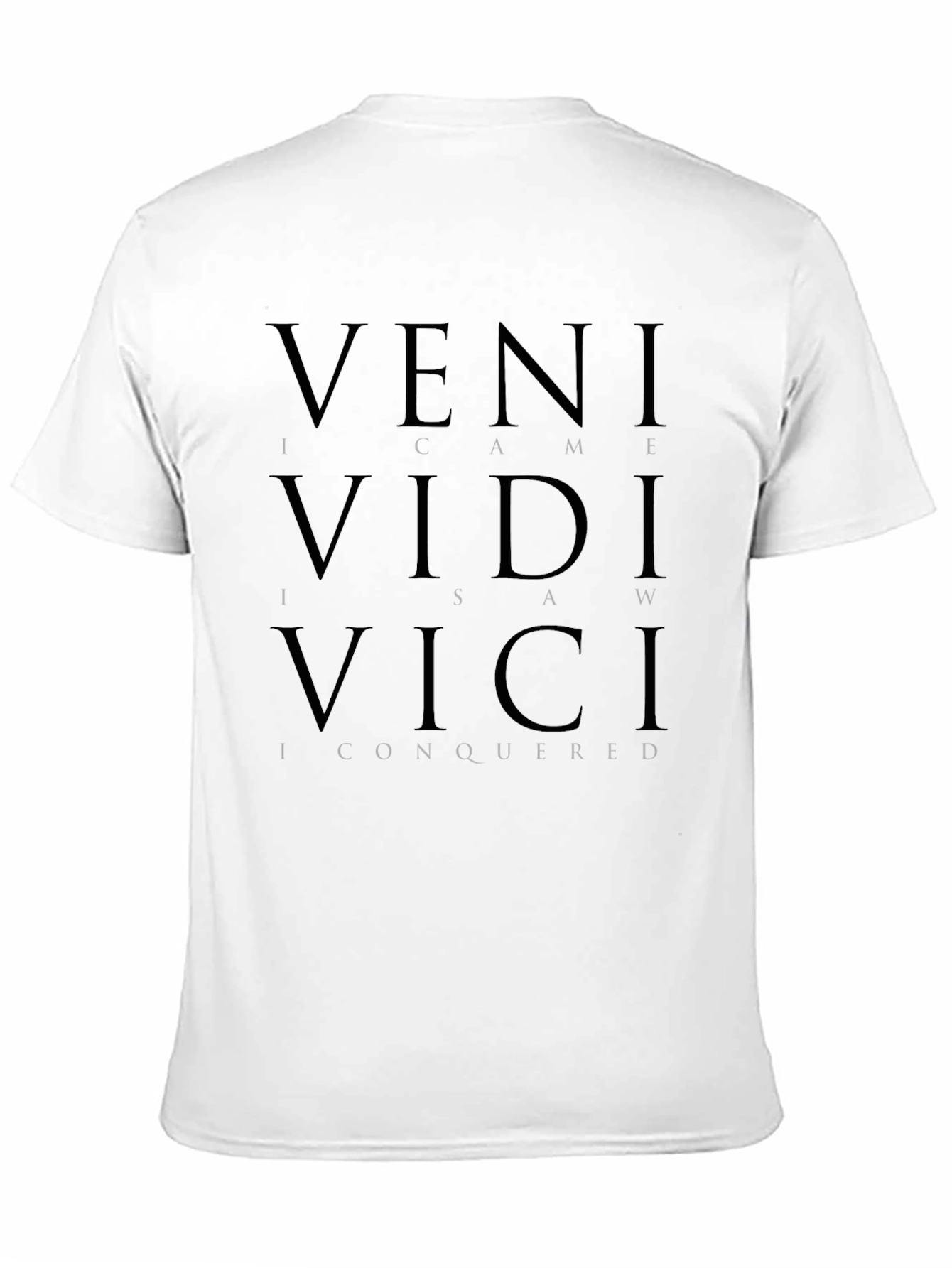 Veni Vidi Vici Graphic T-Shirt