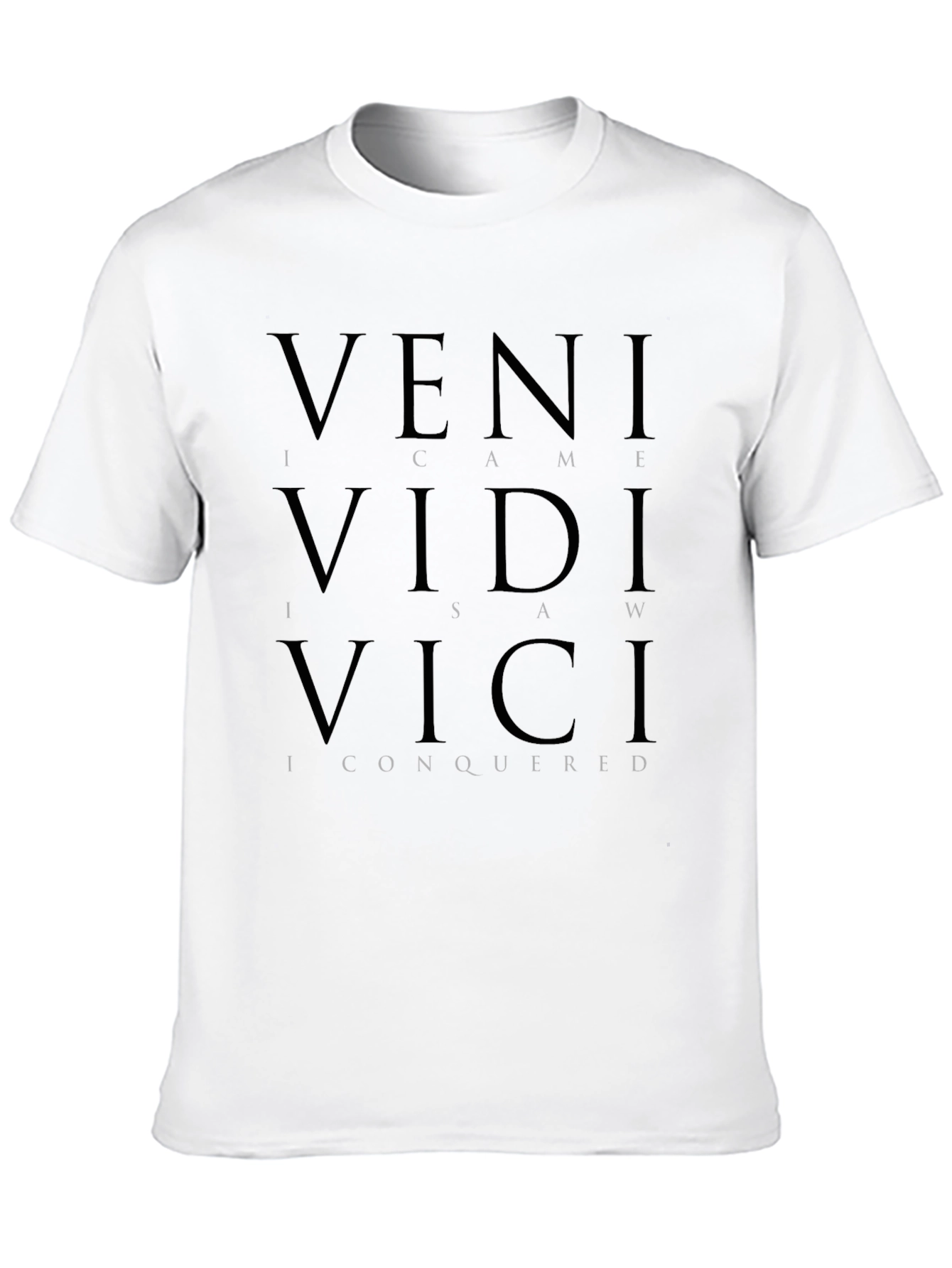 Veni Vidi Vici Graphic T-Shirt
