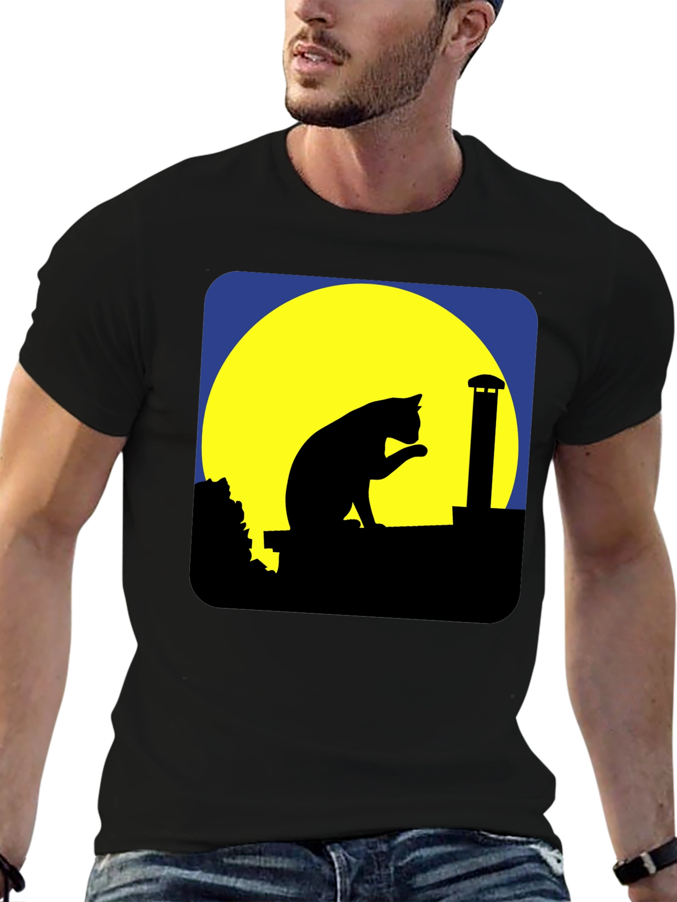 Cat On Rooftop Silhouette Graphic Tee - Black