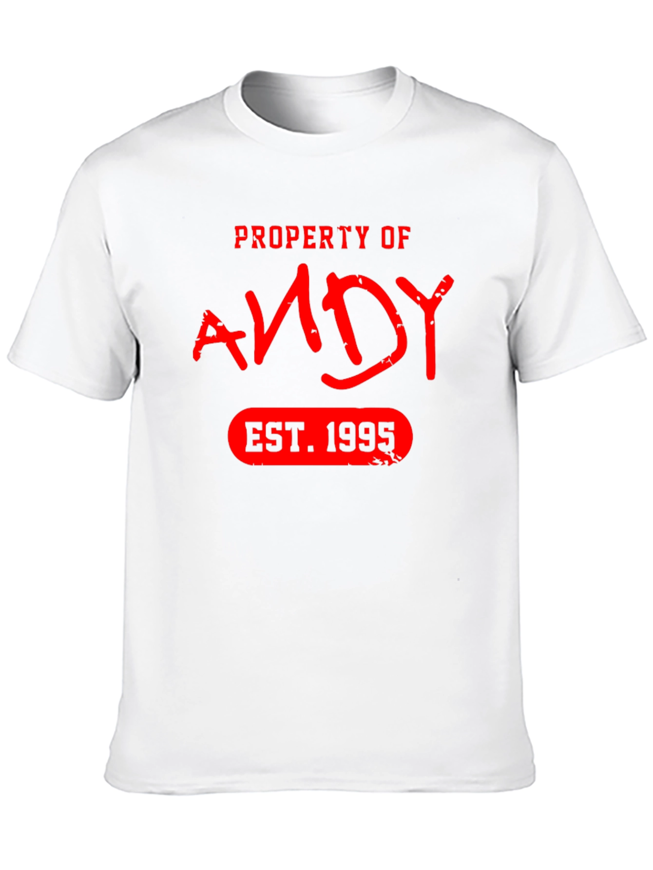 Property of Andy EST. 1995 T-Shirt