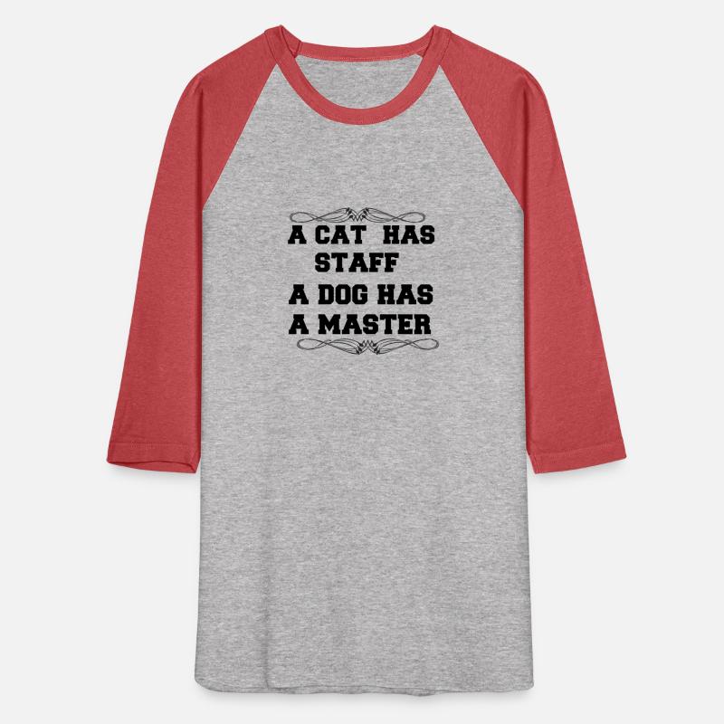 a cat has staff 1