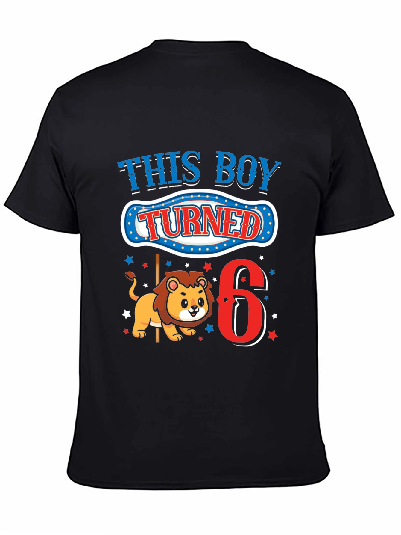 Boys 6th Birthday Lion T-Shirt