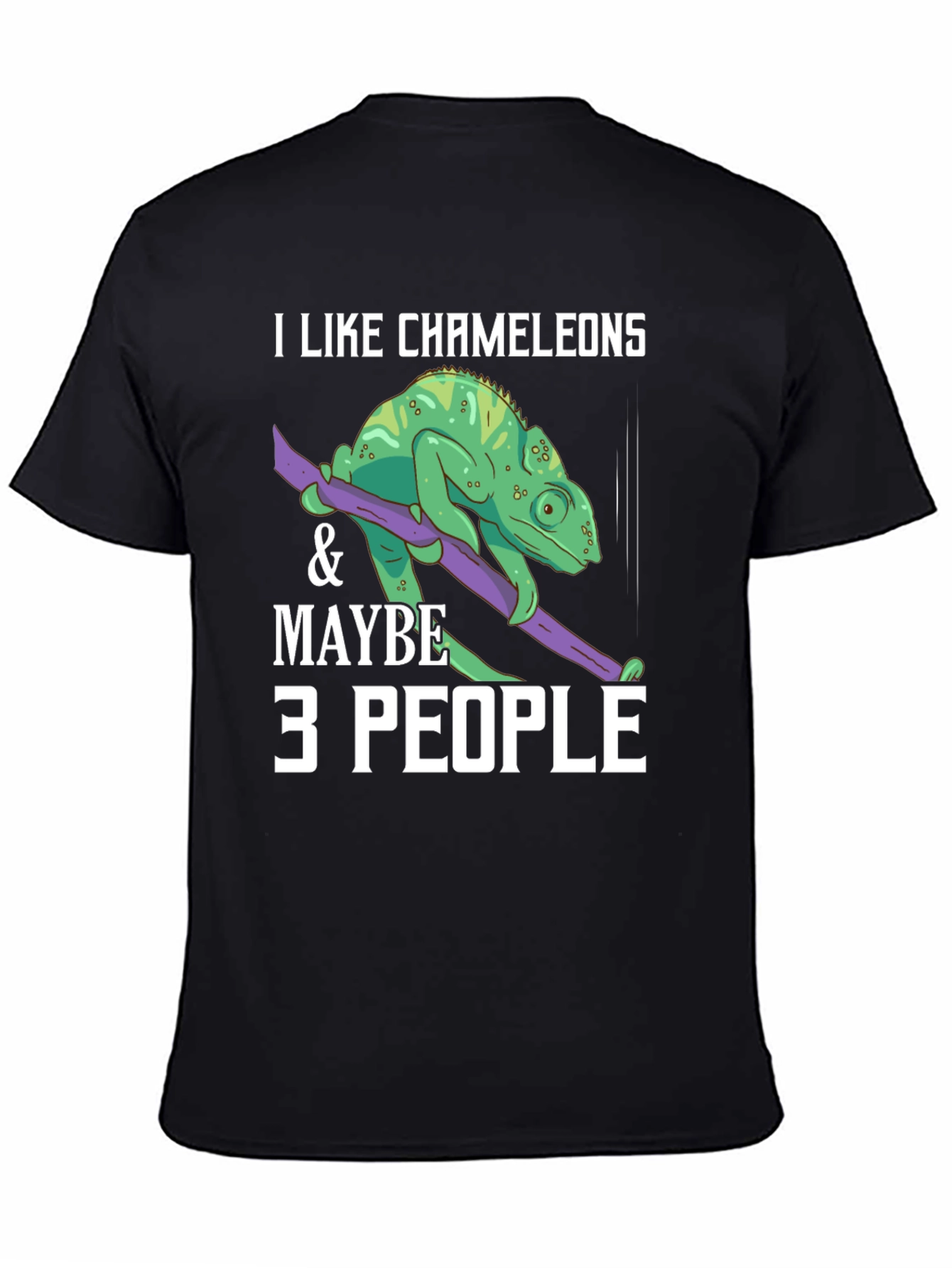 I Like Chameleons & Maybe 3 People T-Shirt