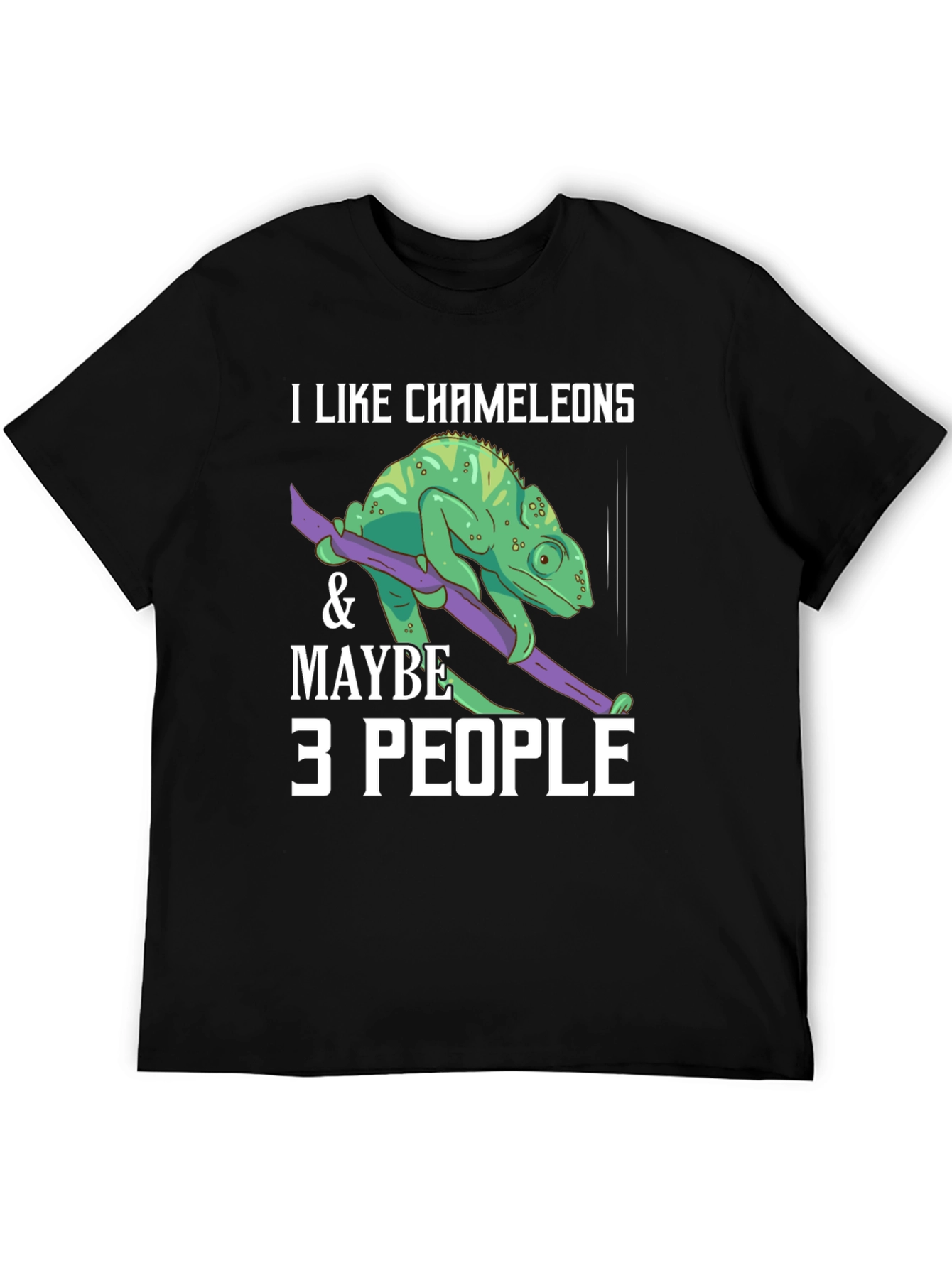 I Like Chameleons & Maybe 3 People T-Shirt