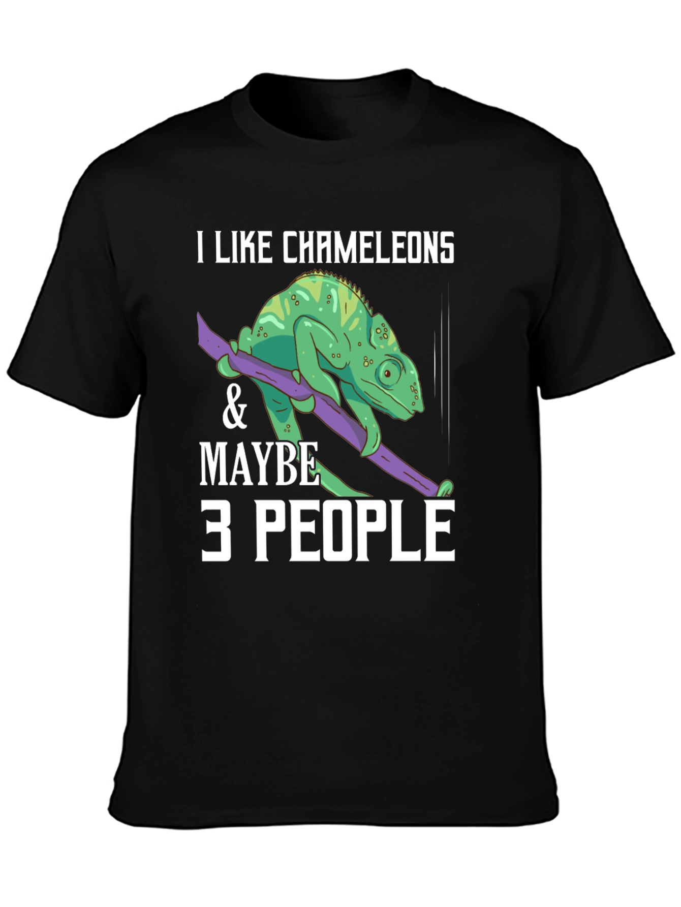 I Like Chameleons & Maybe 3 People T-Shirt