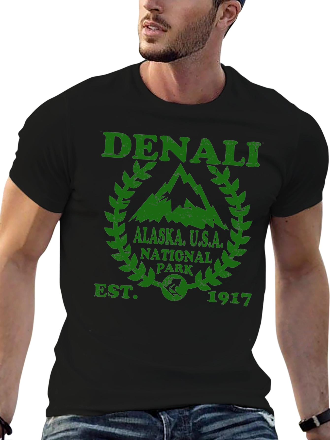 Denali National Park T-Shirt - Alaska USA