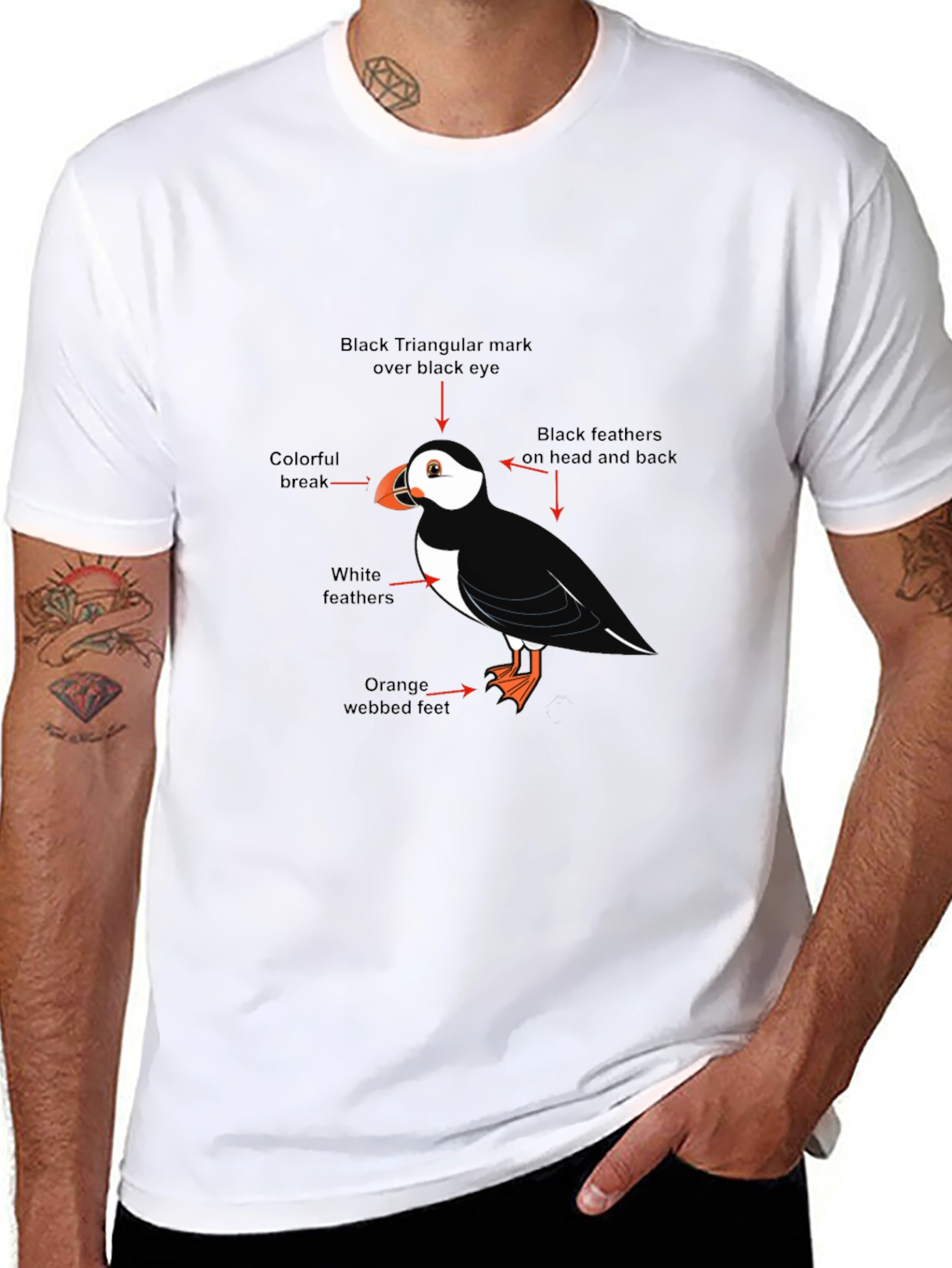 Puffin Bird Graphic Tee - Black Cotton Blend T-Shirt