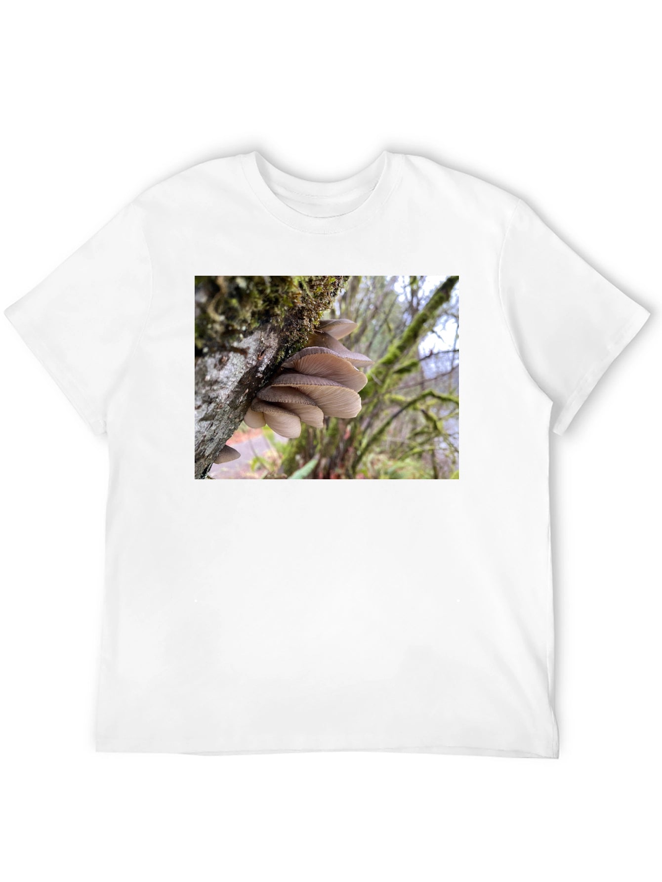 Mushroom Nature Scene Graphic T-Shirt