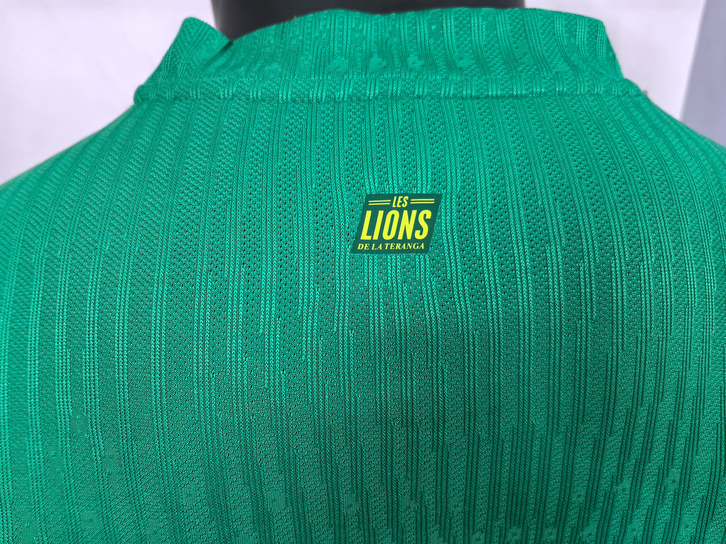 Senegal 2025 Away Green Soccer Jersey National Team Kit