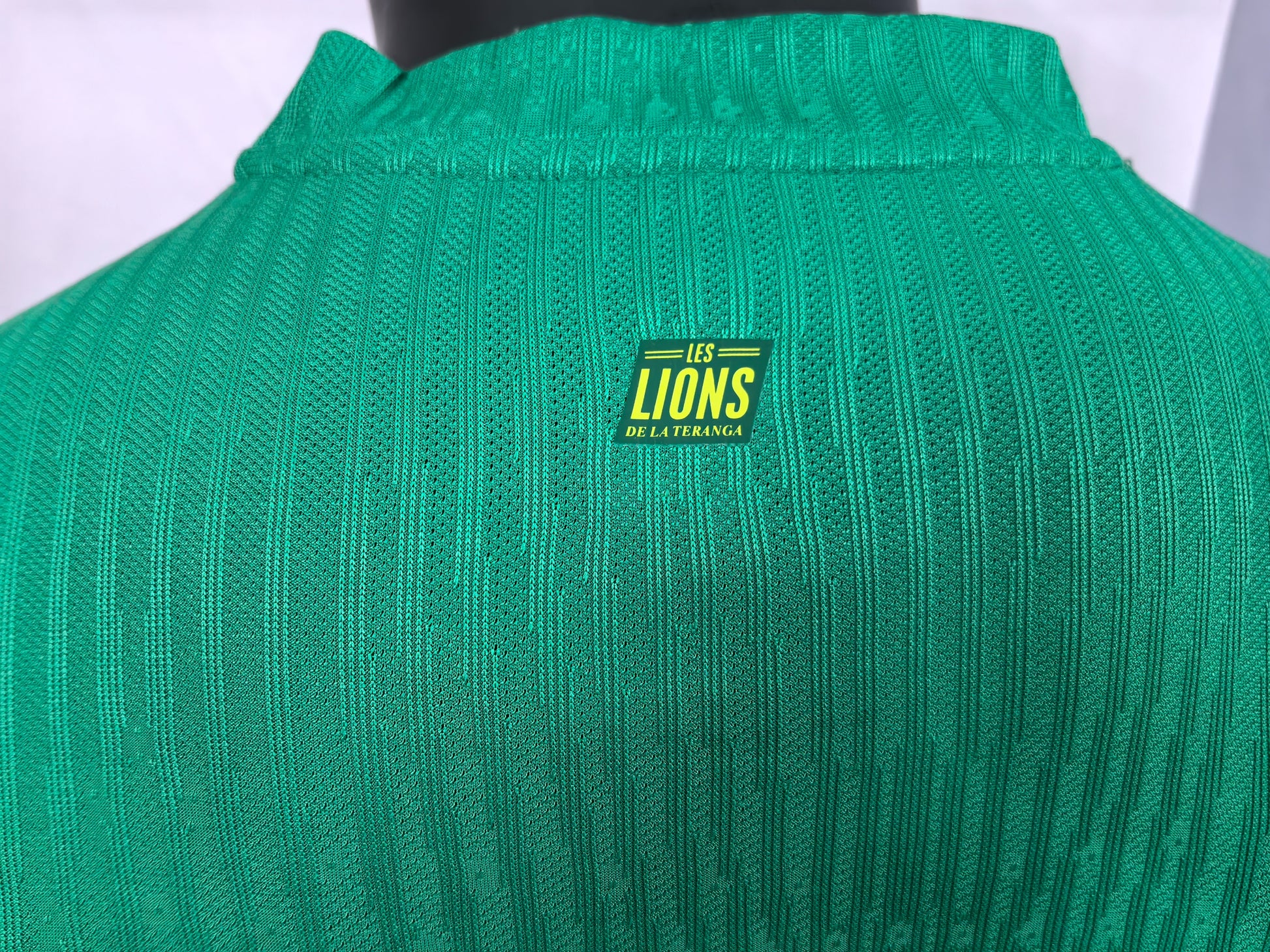 Senegal 2025 Away Green Soccer Jersey National Team Kit