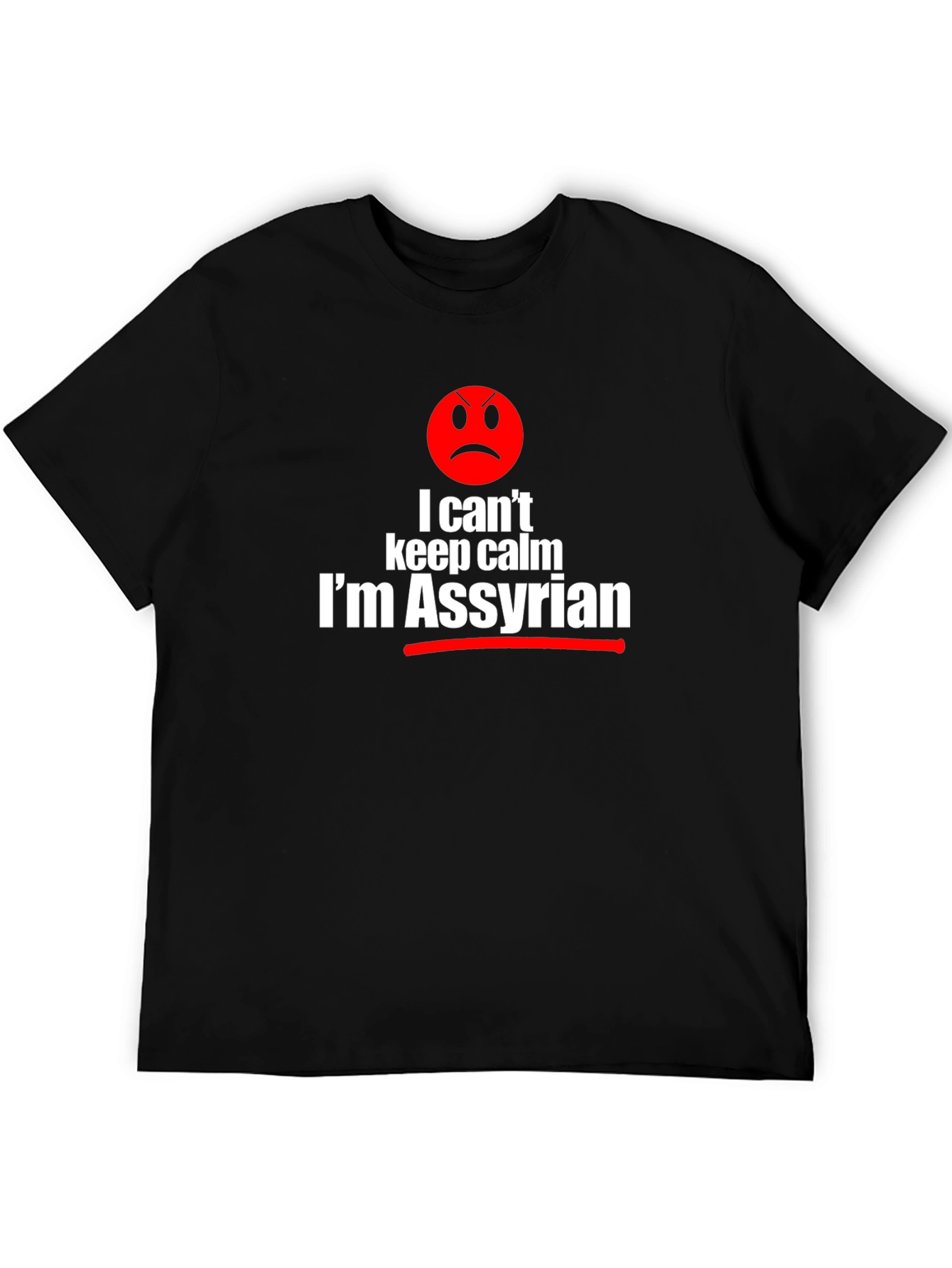 I Cant Keep Calm Im Assyrian Graphic T-Shirt