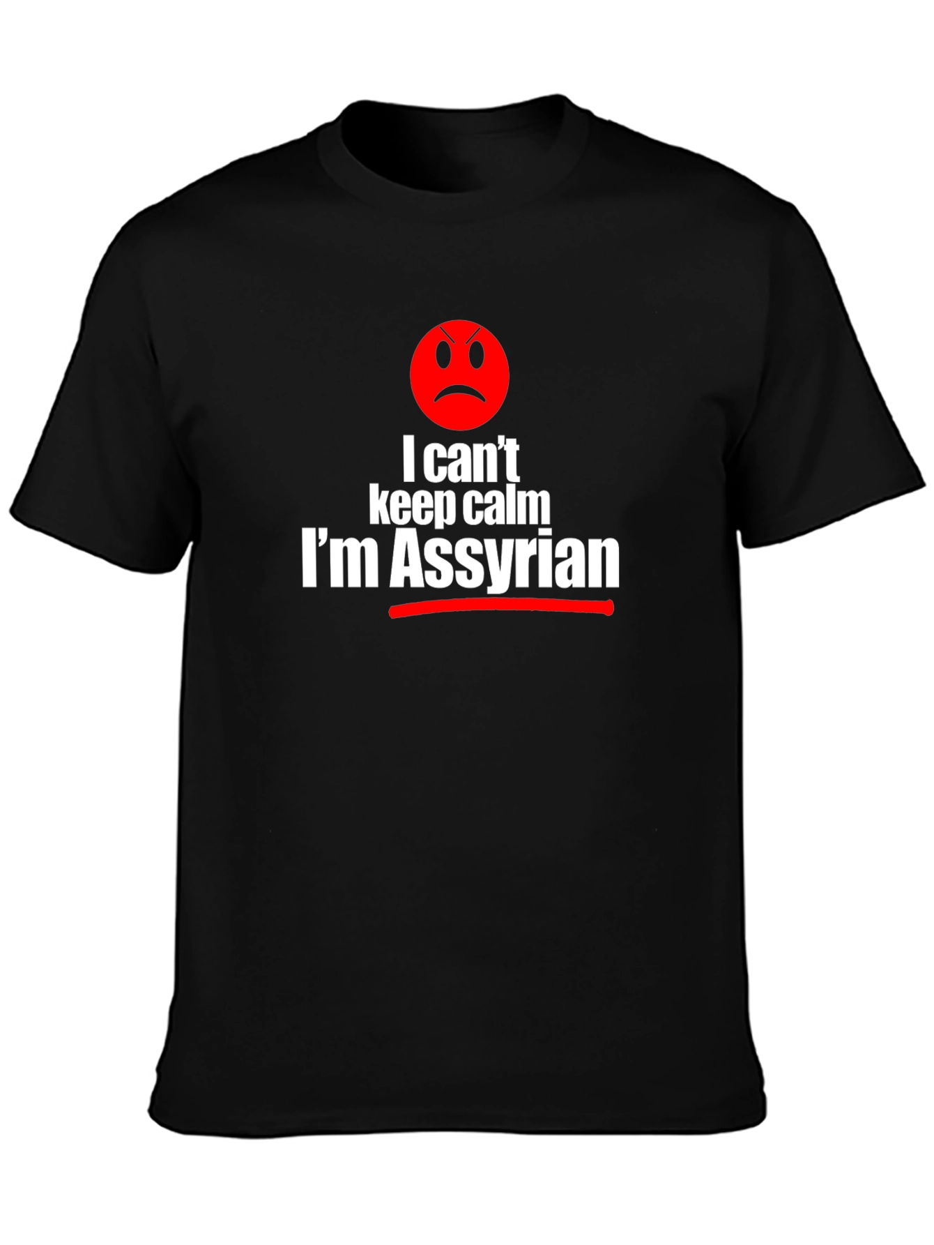 I Cant Keep Calm Im Assyrian Graphic T-Shirt