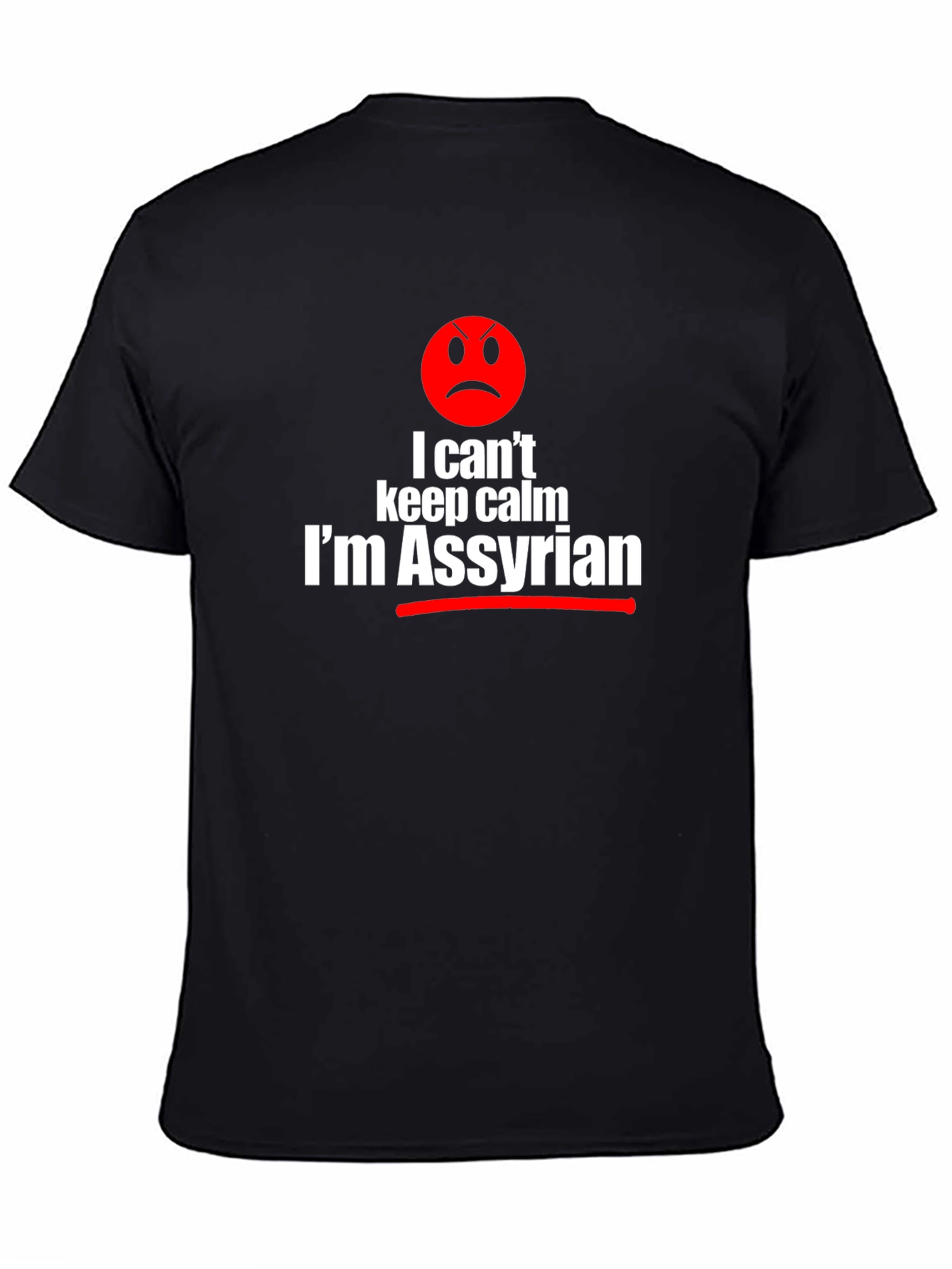 I Cant Keep Calm Im Assyrian Graphic T-Shirt