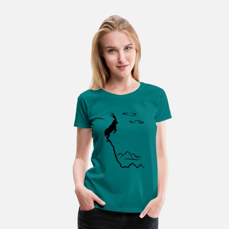 Mountain ibex, mountain goat